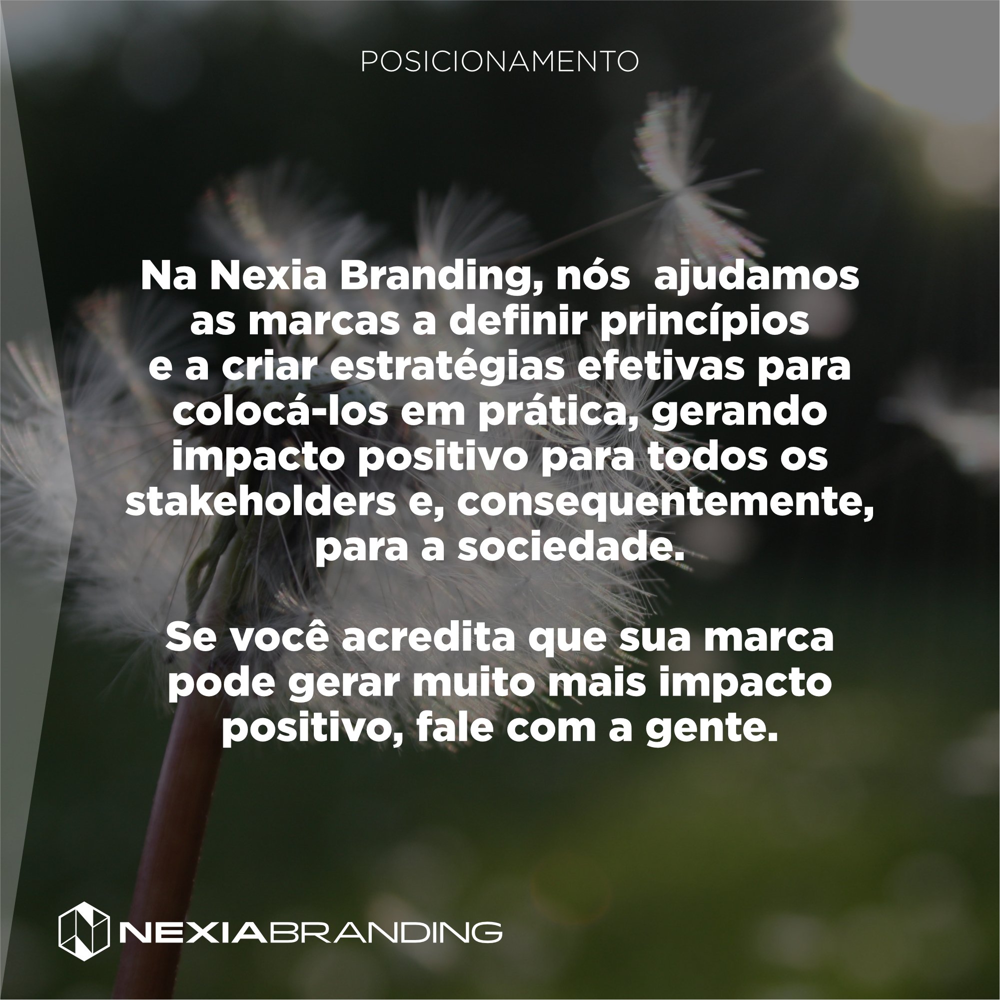 Nexia-Post impacto positivo - slide 7.jpg