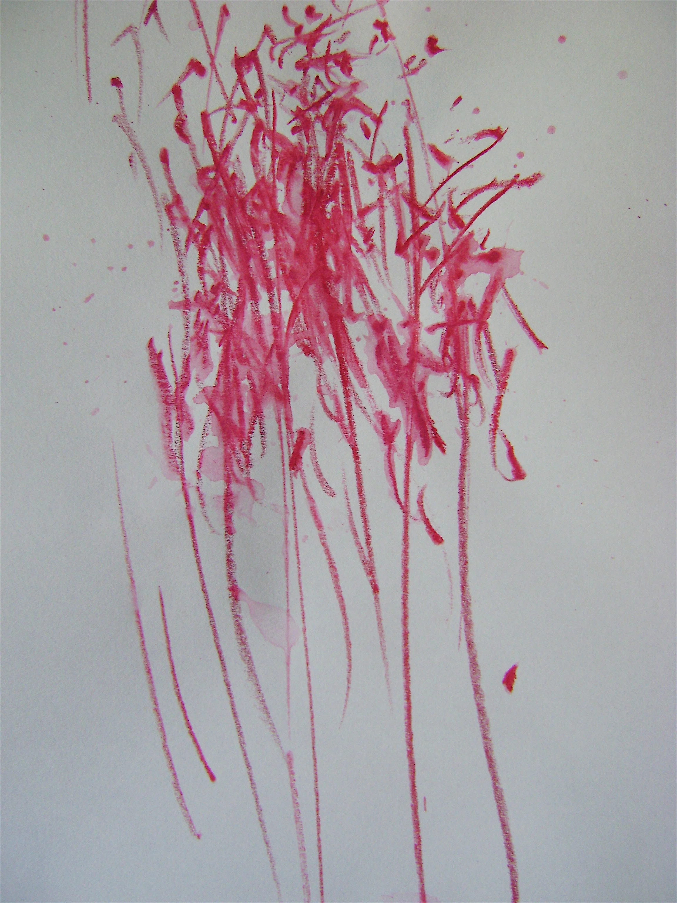 Rhythm and repitition of a Hummingbird