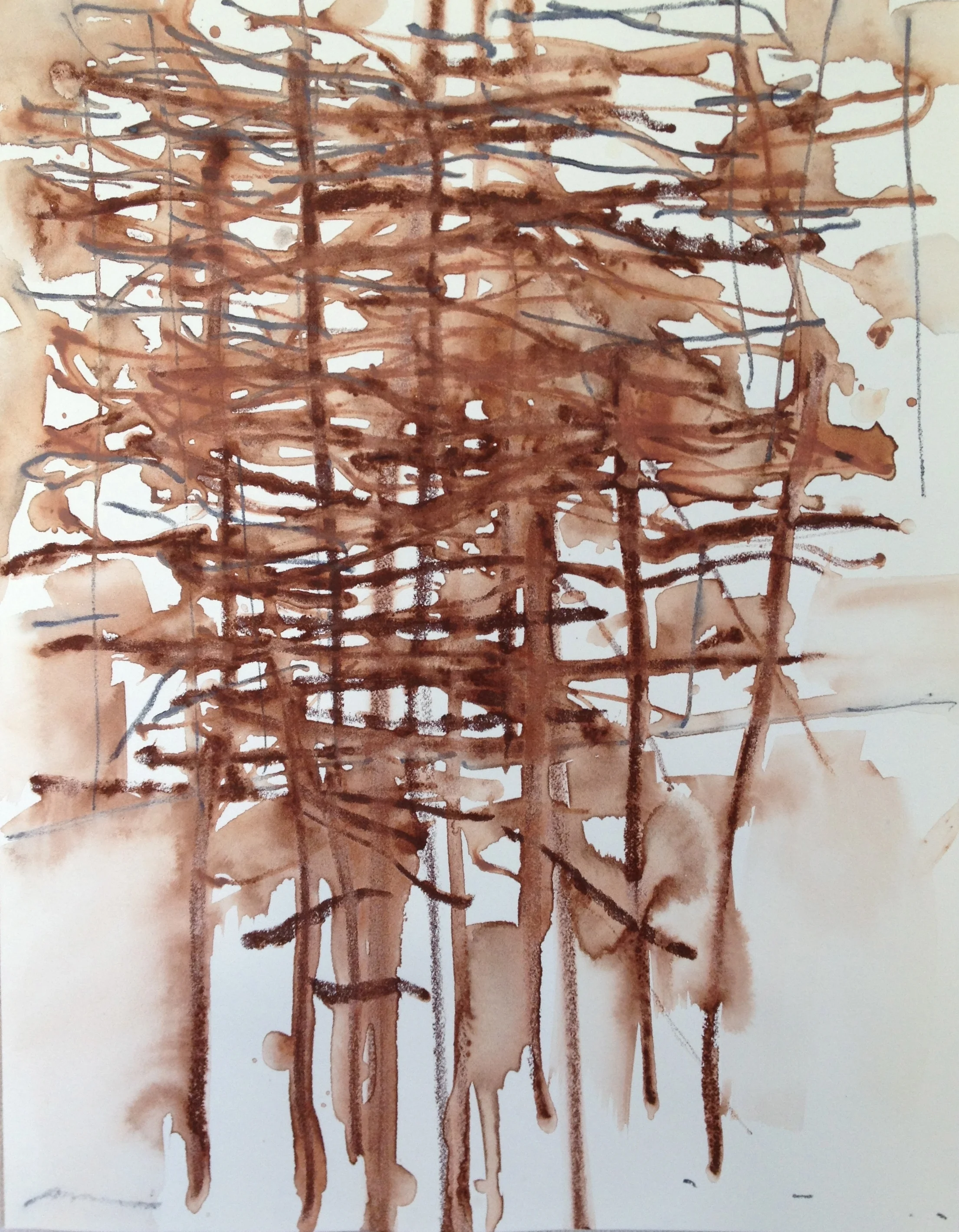 forest for the trees drawings 1 .jpg