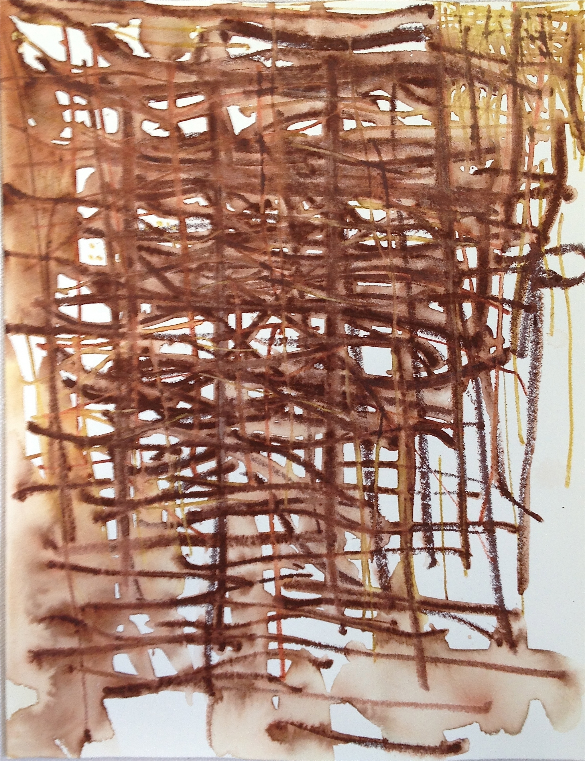 forest for the trees D7 .jpg