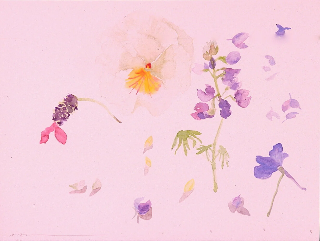 God disguised as small flowers