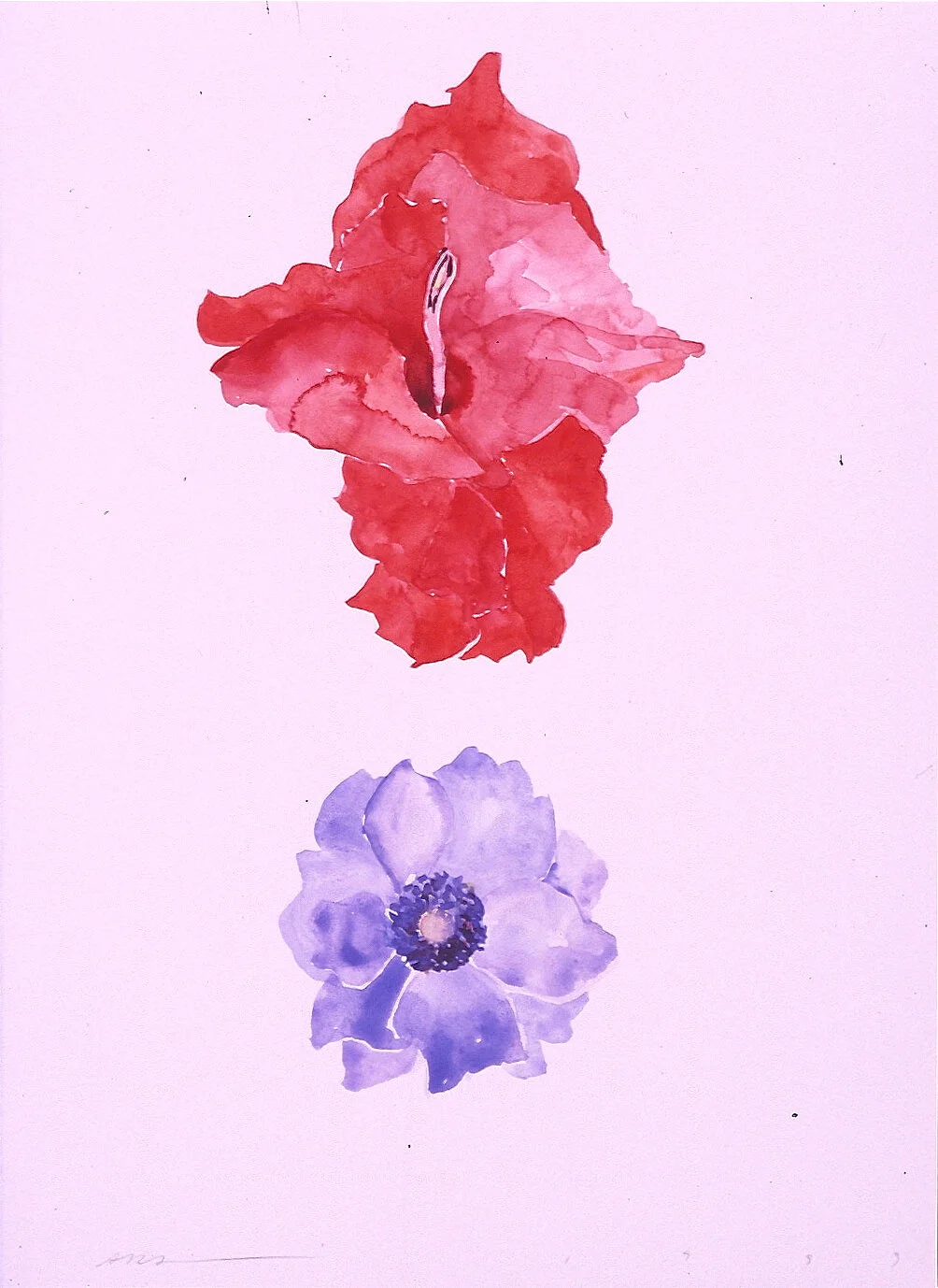 God disguised as Gladiola and Anemonie - sold
