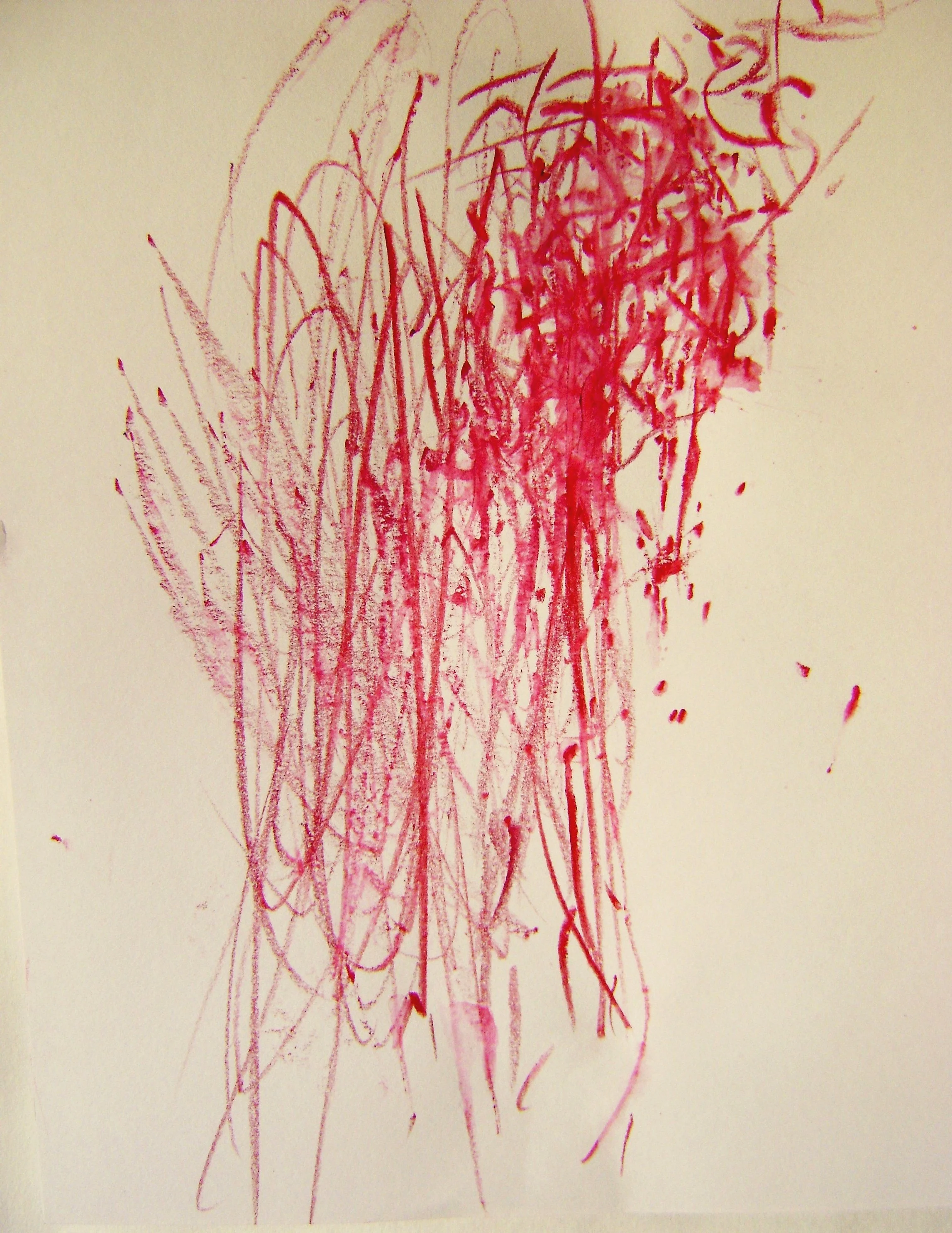 Rhythm and repetition of a Hummingbird