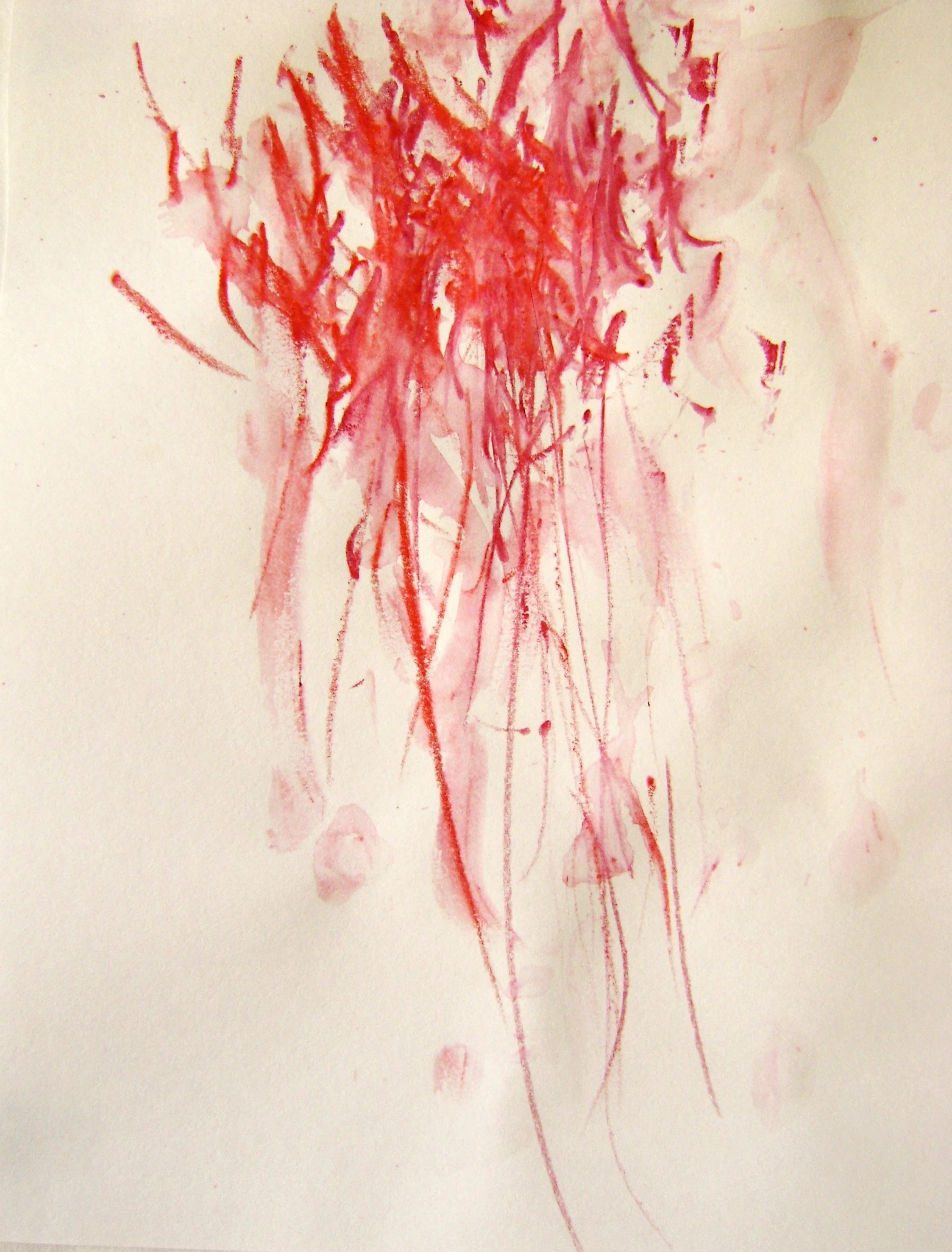 Rhythm and repetition of a Hummingbird