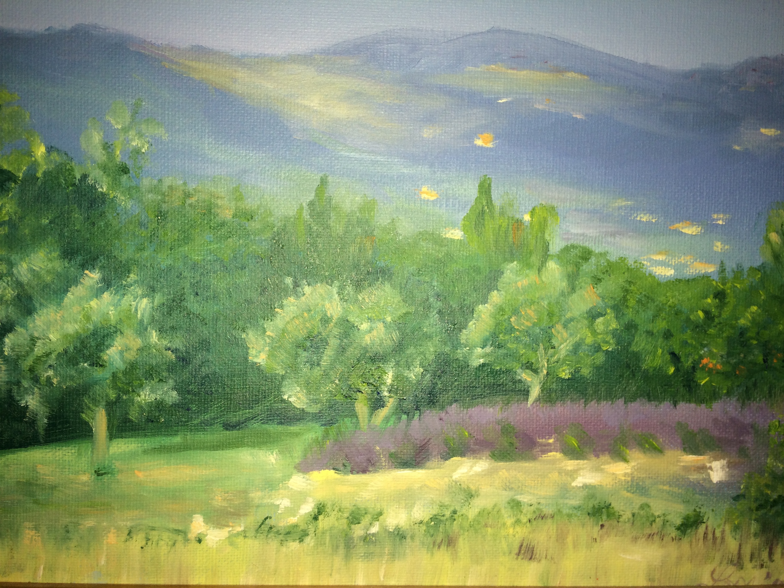 Summer in Provence