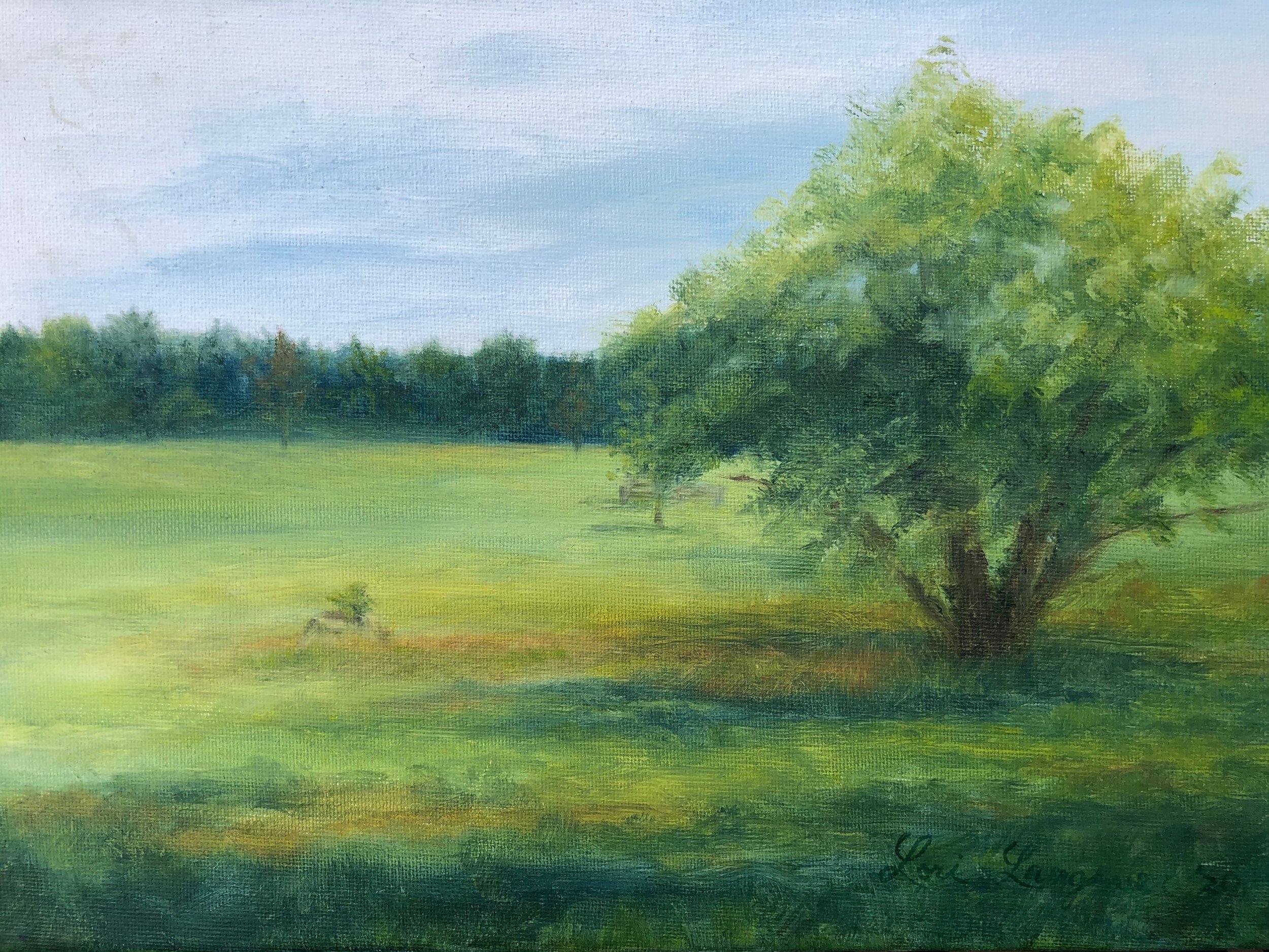 Peaceful Morning (sold)