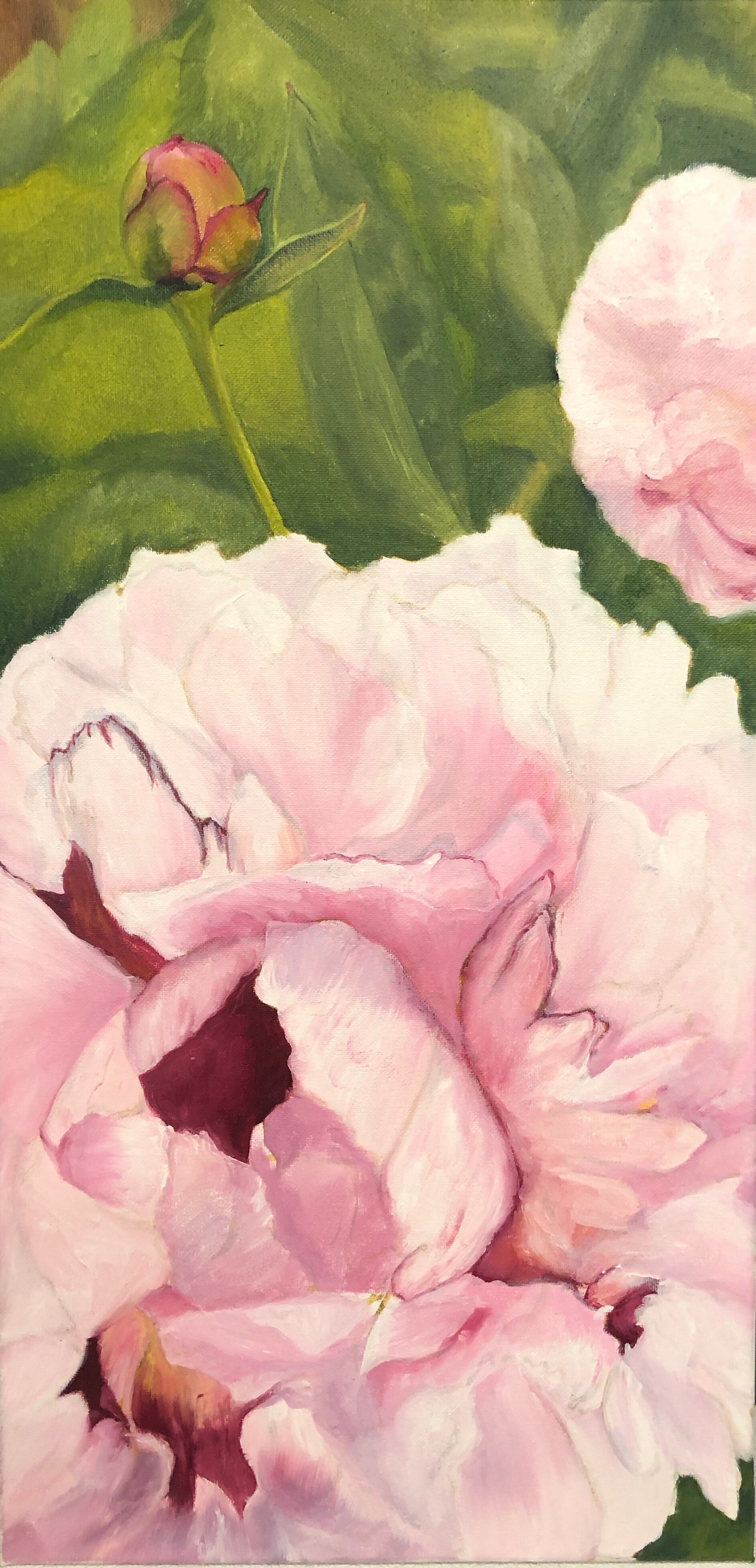 Pink Peonies