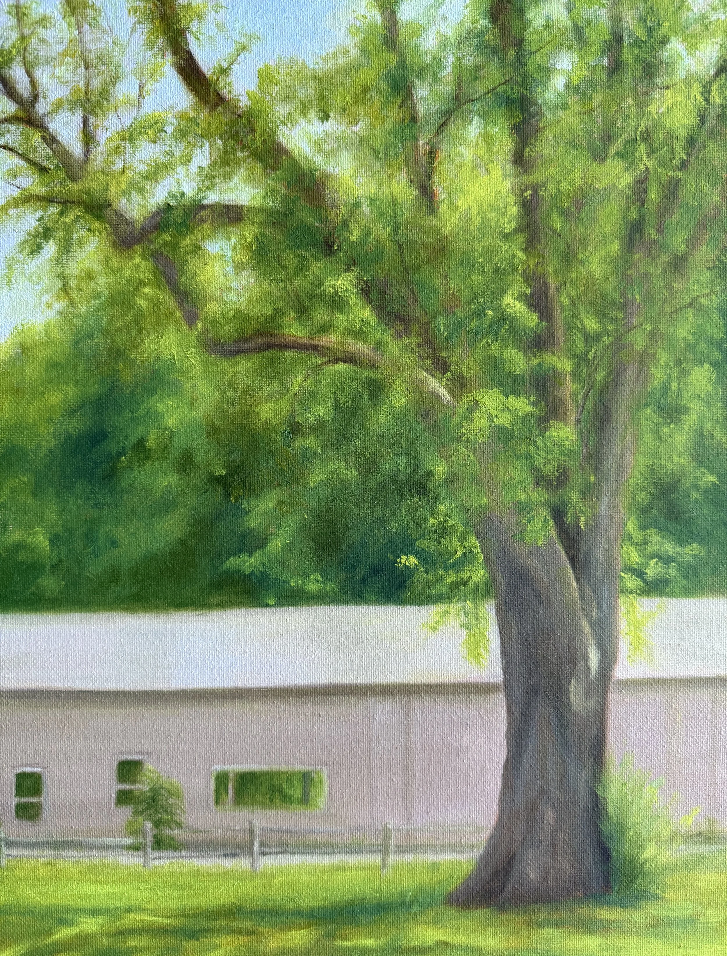Along the Path in Kingston NJ