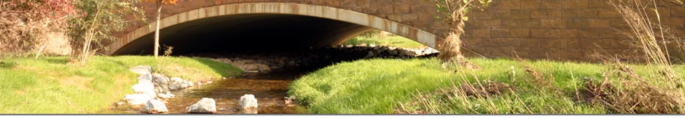 Spaeder About Us Header.jpg