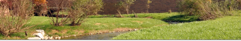 Spaeder Project Header.jpg