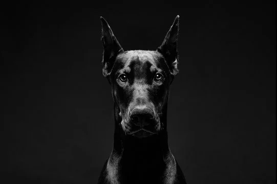 360_F_133994153_08gWyrXCikjkMFxoauvaAF1XWBDRACG0.jpg