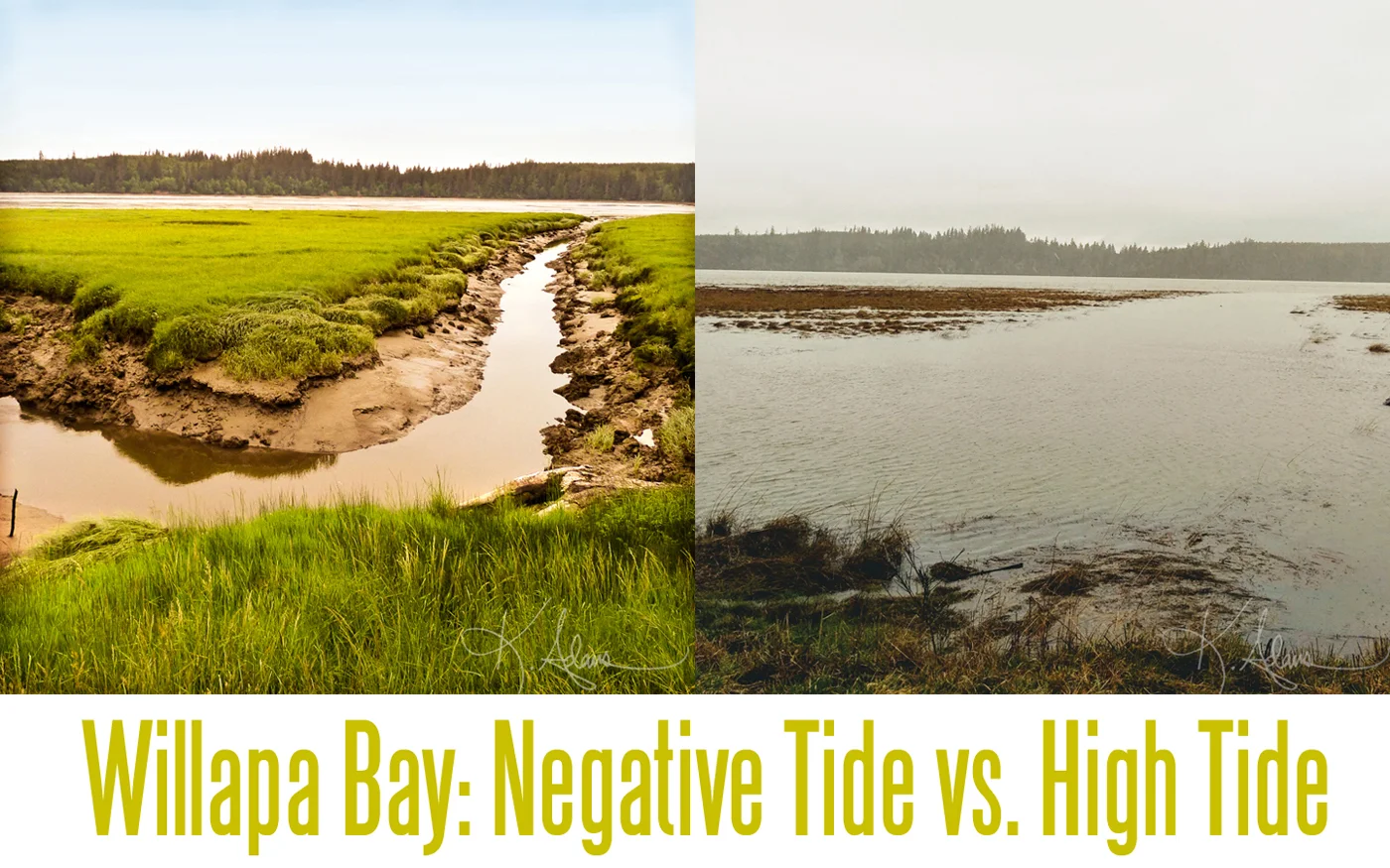 Low tide and High tide side by side blog web.jpg