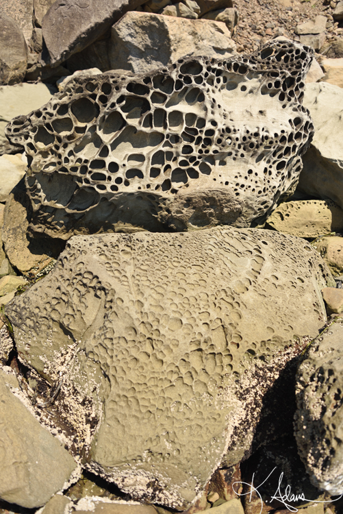 stone lace stack web.jpg