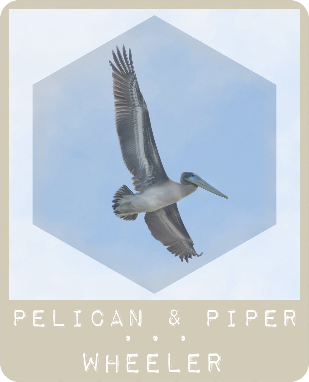 Pelican and Piper VENDOR ICON NYED.jpg