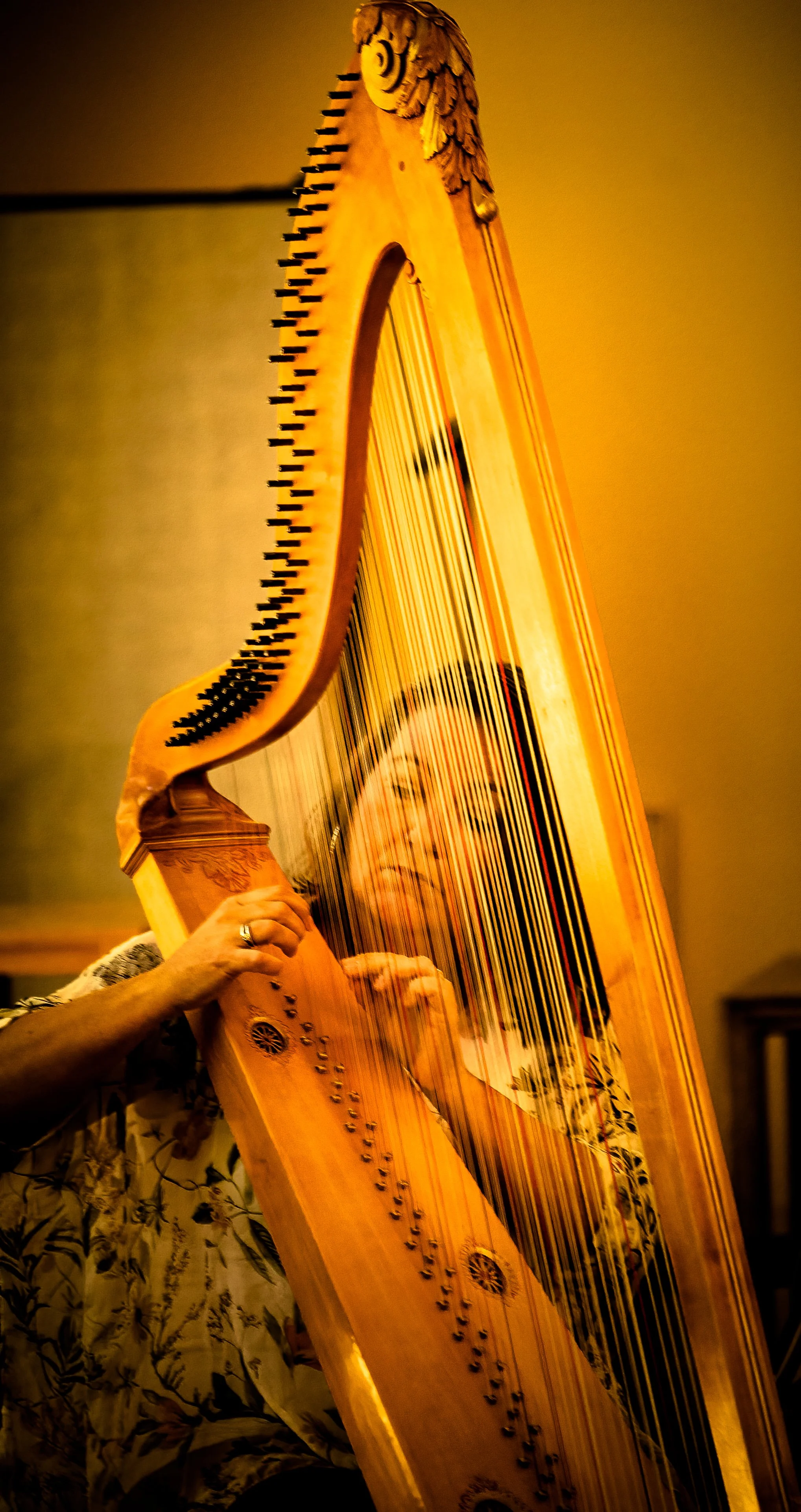 Boston Early Music Festival: The Mysterious Zoë de la Rue