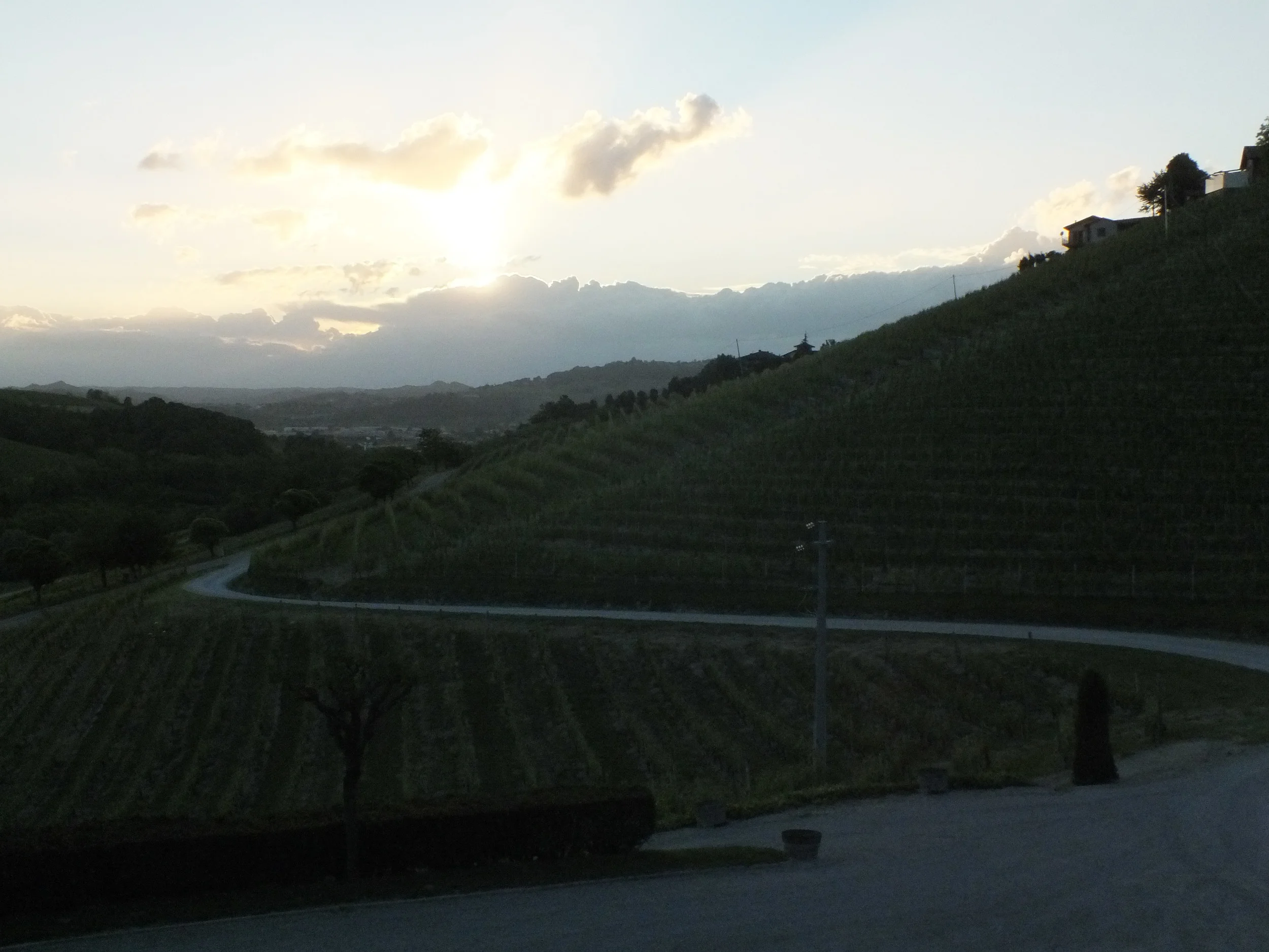 Sunset over Martinenga Vineyards, Marchesi di Gresy, Barbaresco