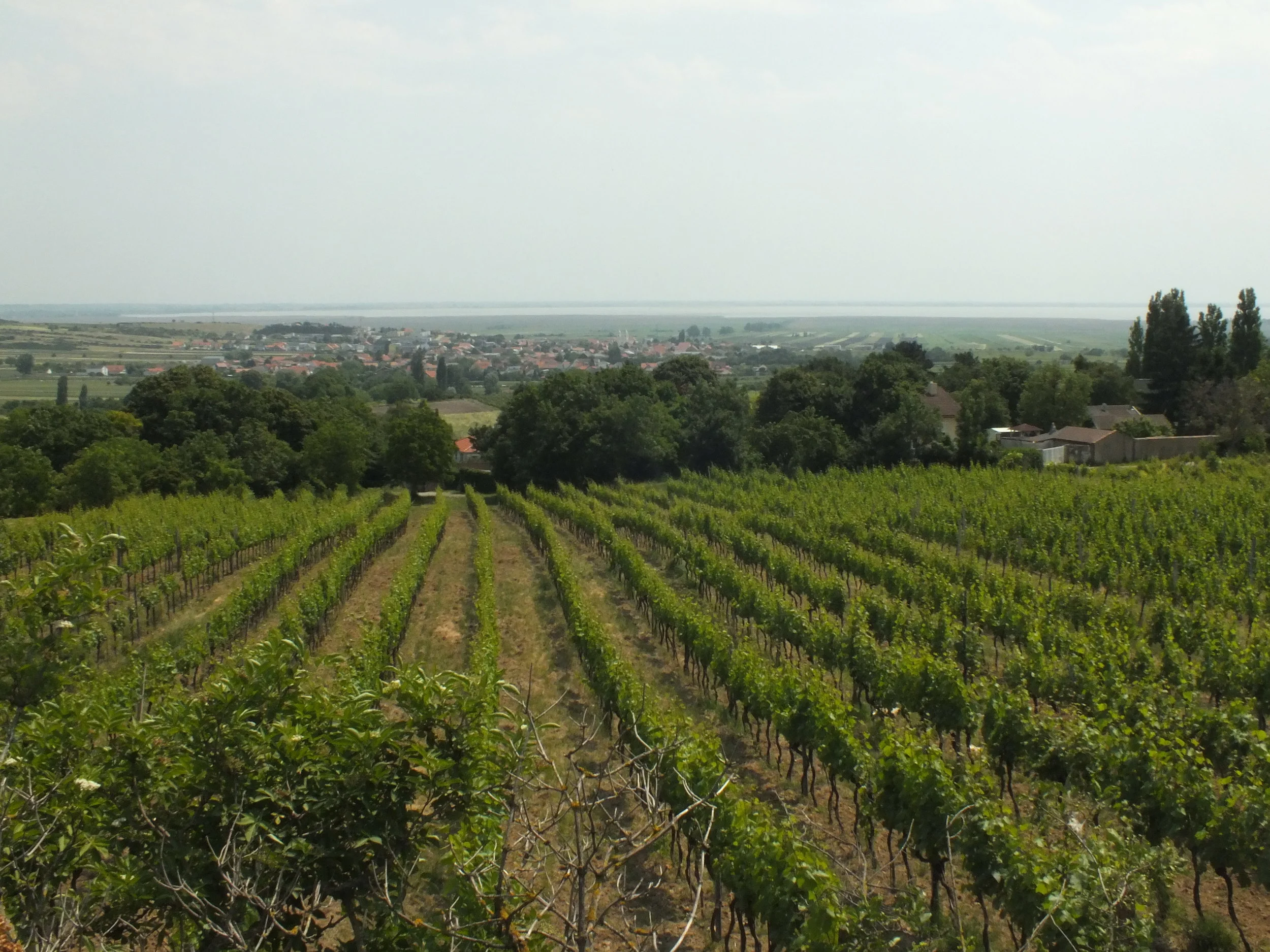 DSCF4159.JPG