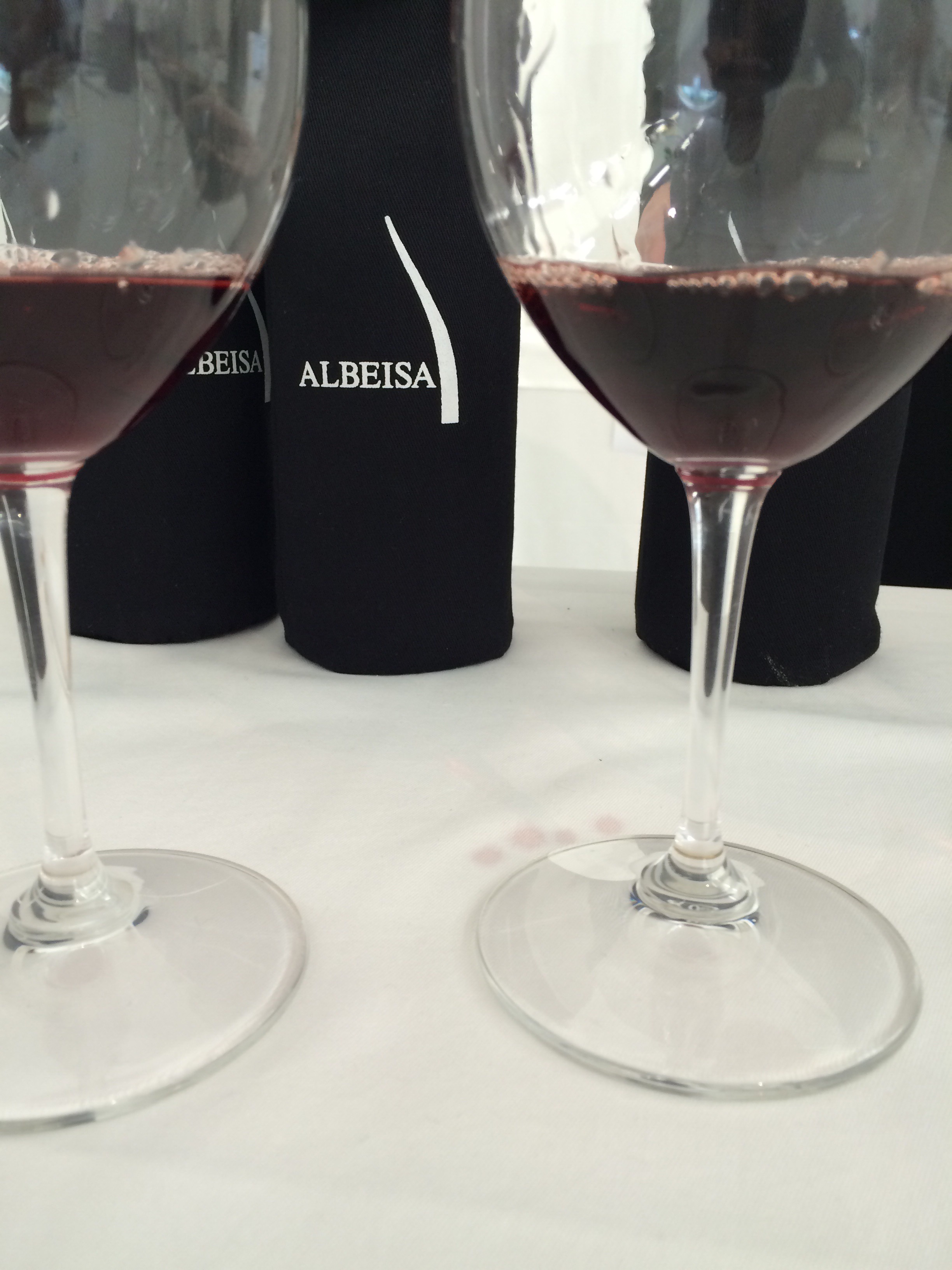 First Day of Tasting Nebbiolo Albeisa