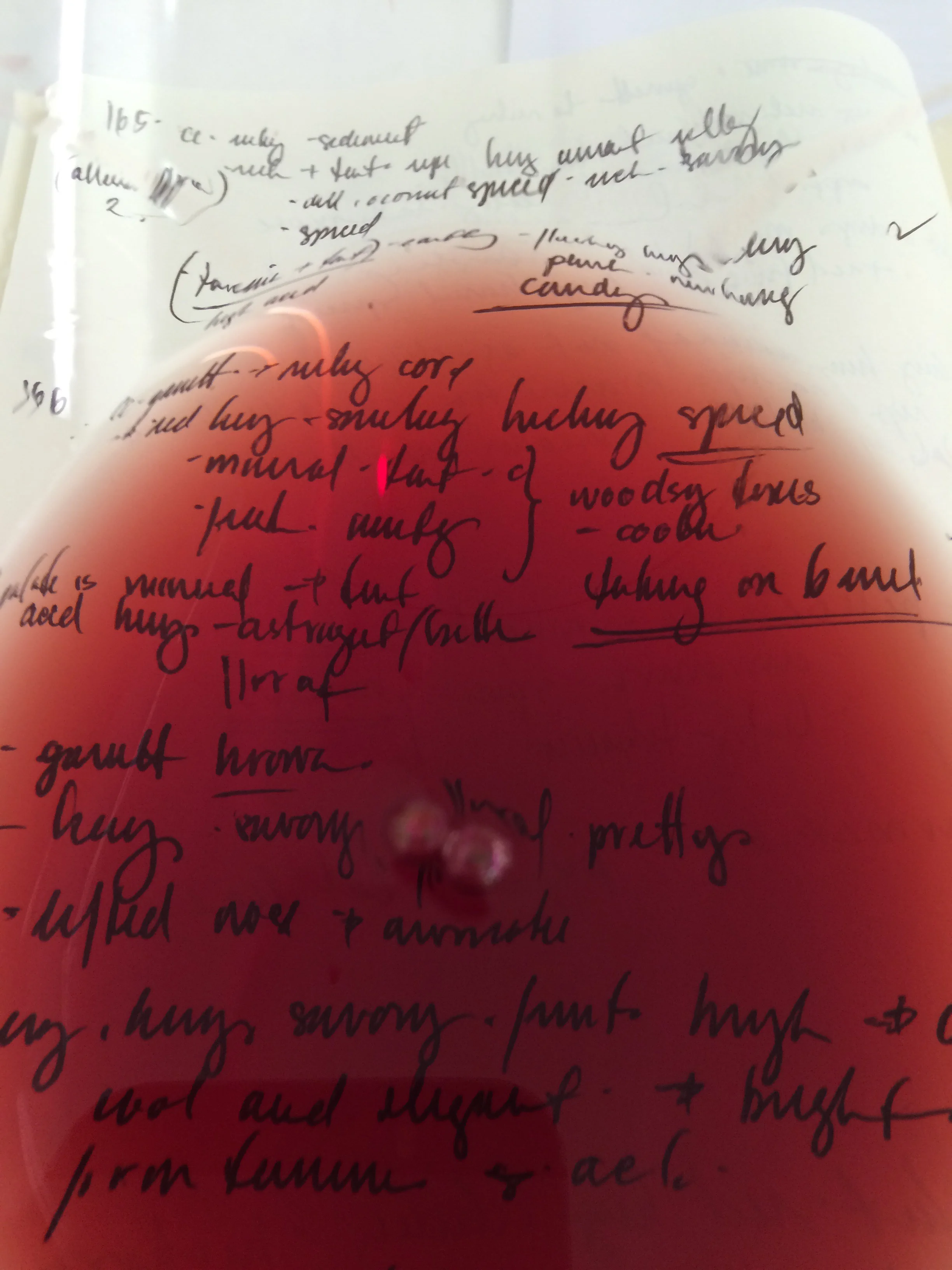 First day of Tastings