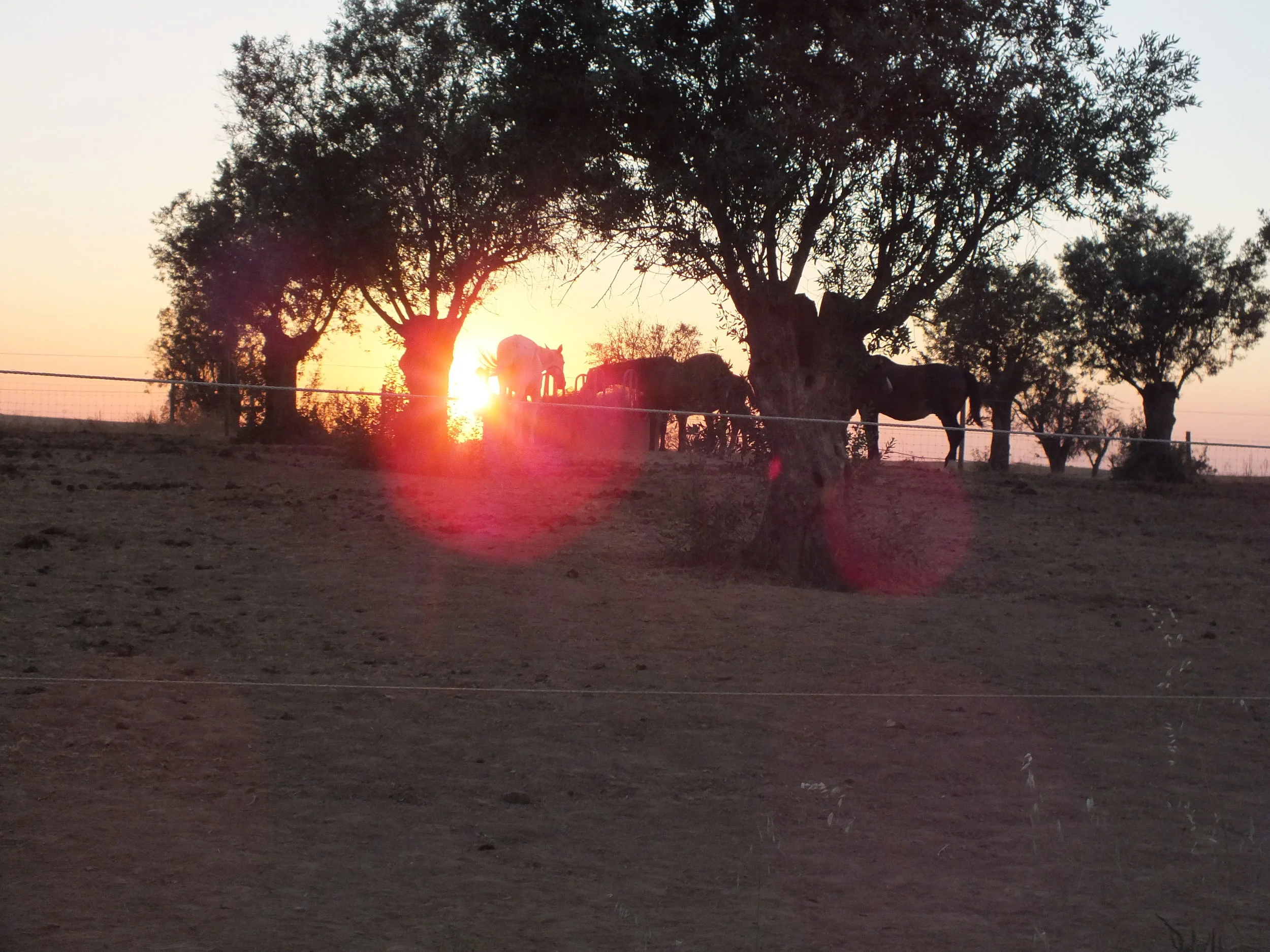 DSCF9987.JPG