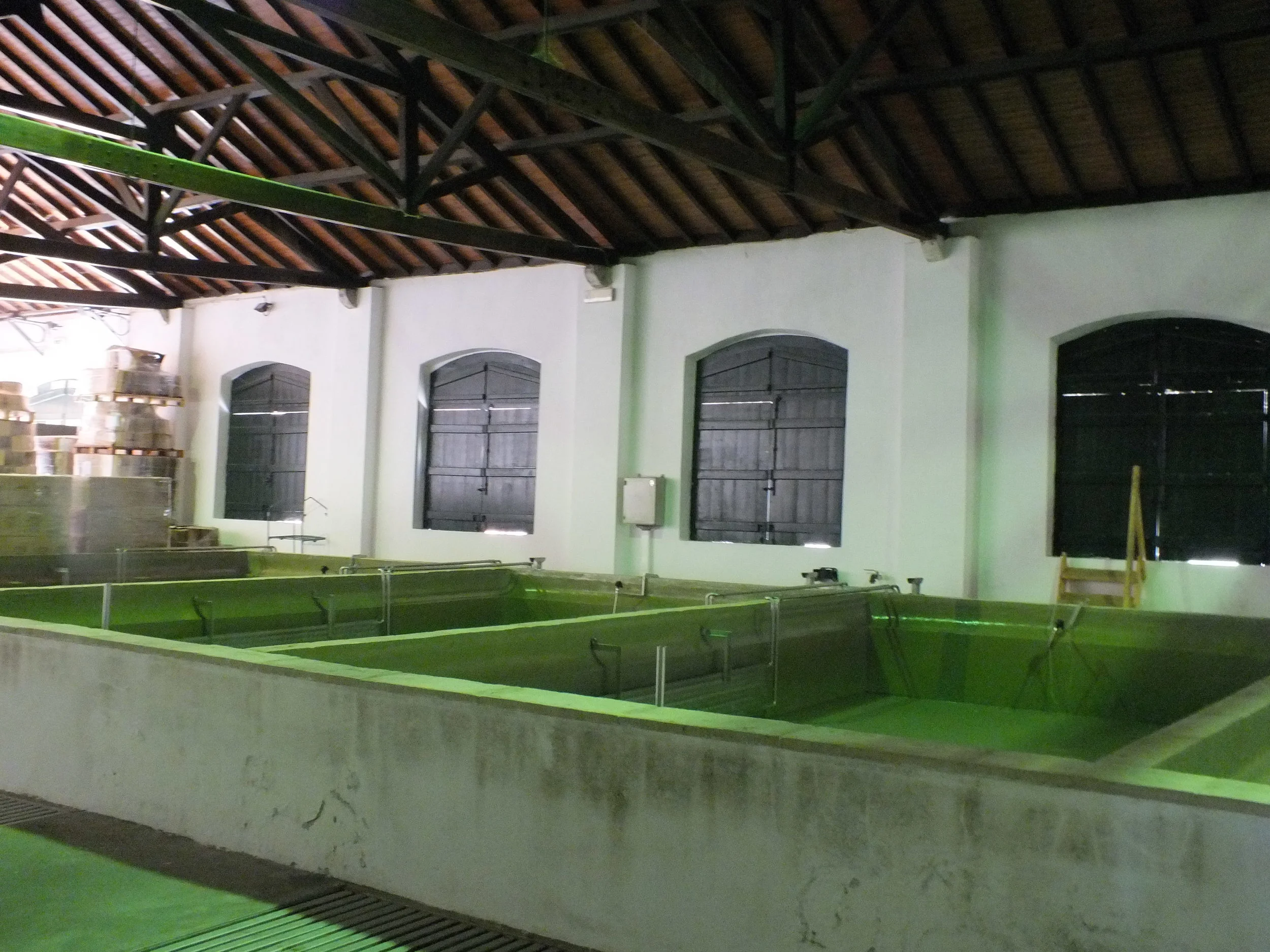 DSCF0321.JPG