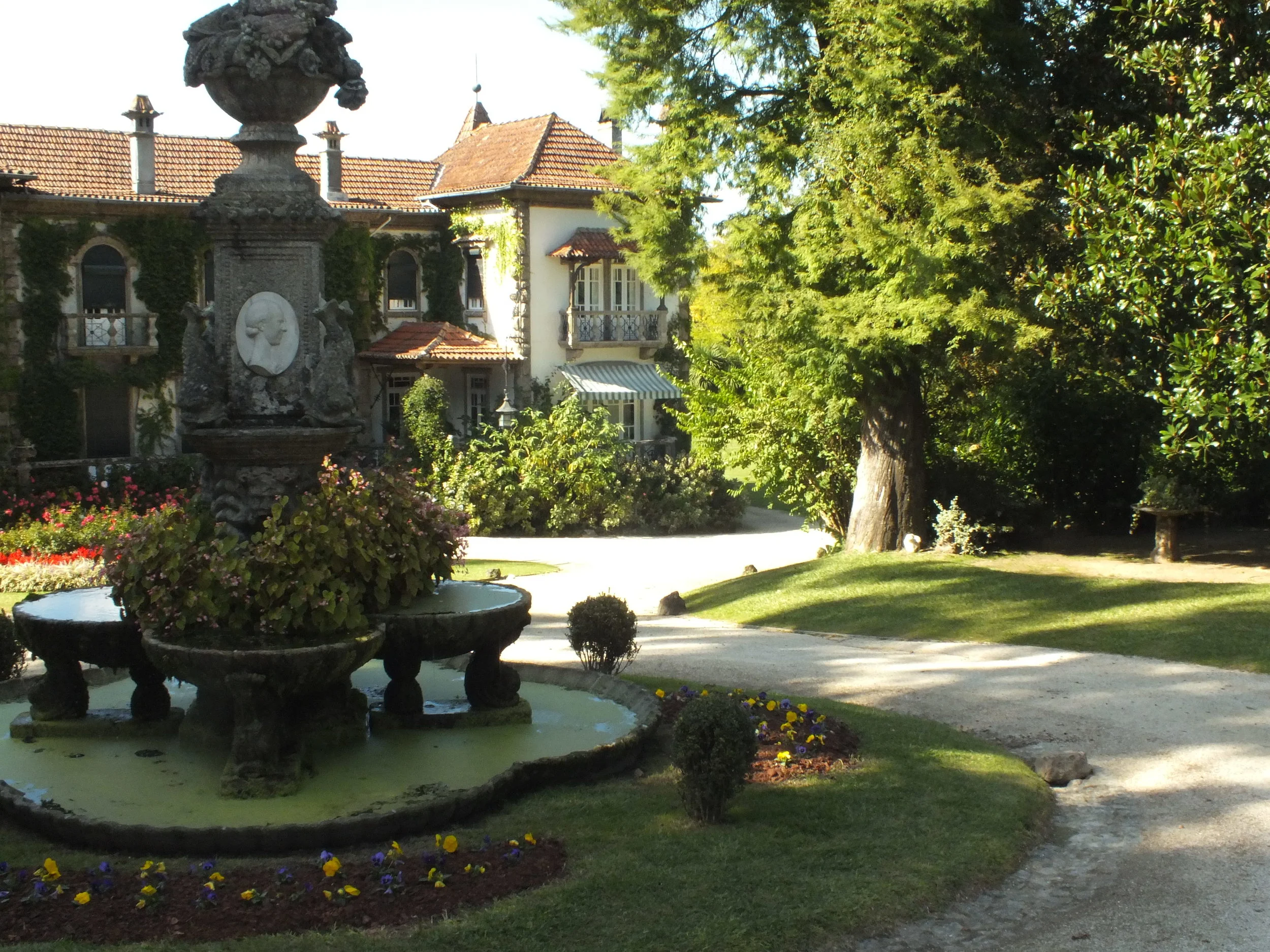 DSCF5168.JPG