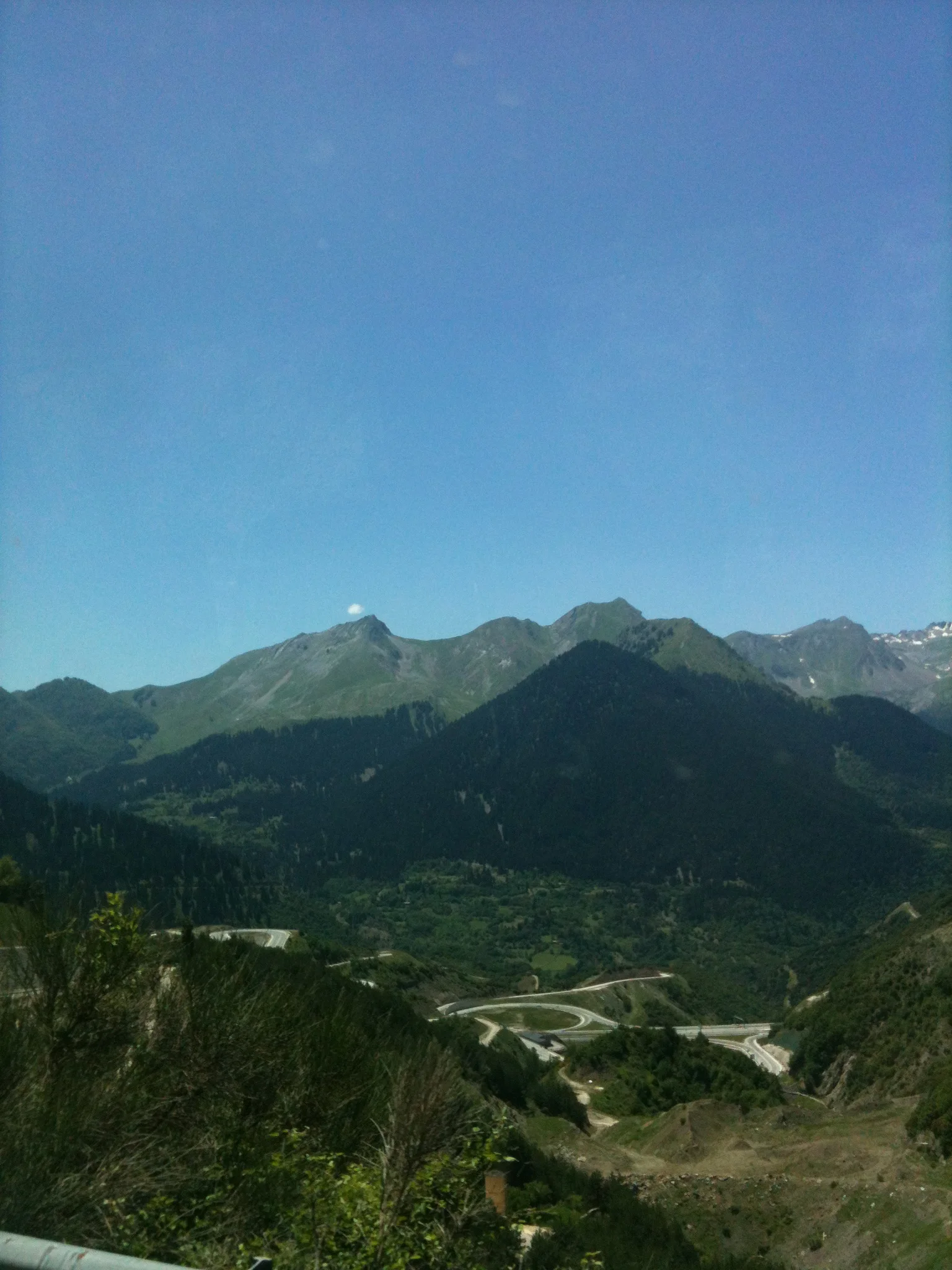 IMG_2604.JPG