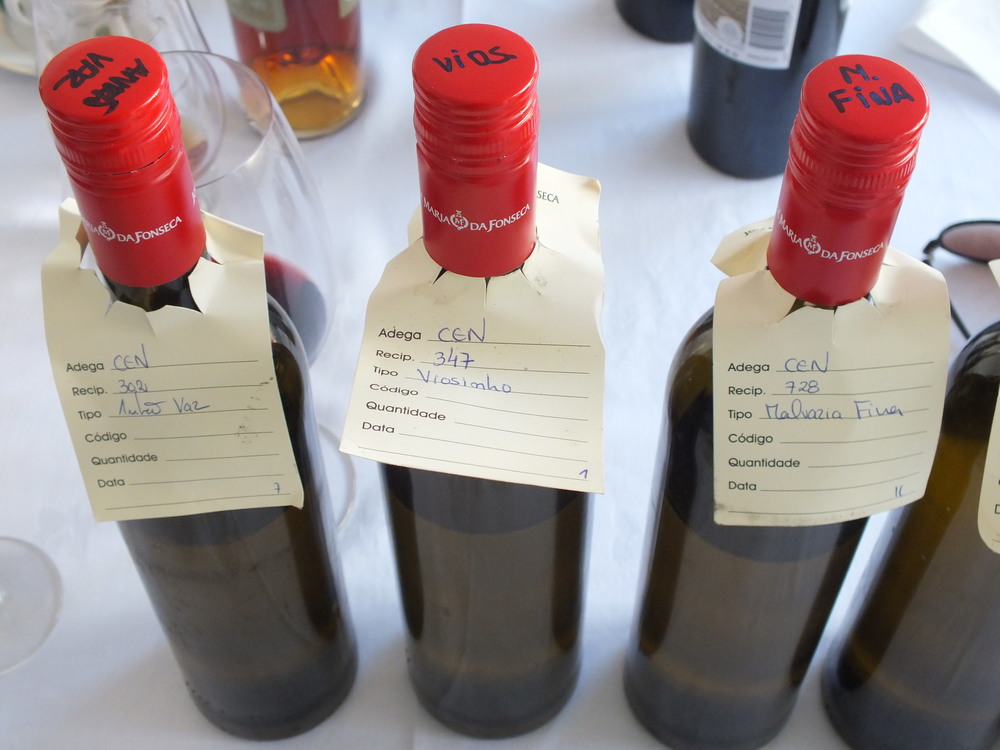 2013 Tasting of Single Varietal Wines representing the Grapes of Portugal.