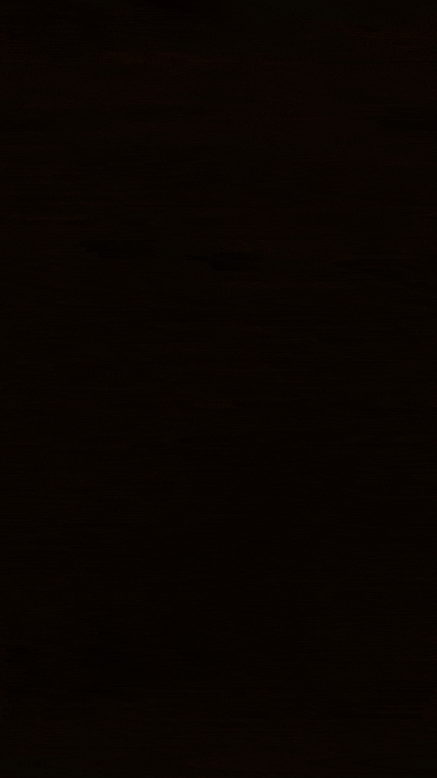 HZD_Abby_9x16_1.gif