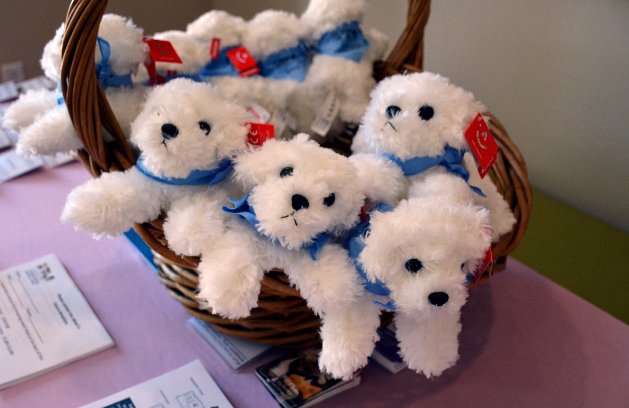PFCAC Room Donor Event-2016-3.jpg