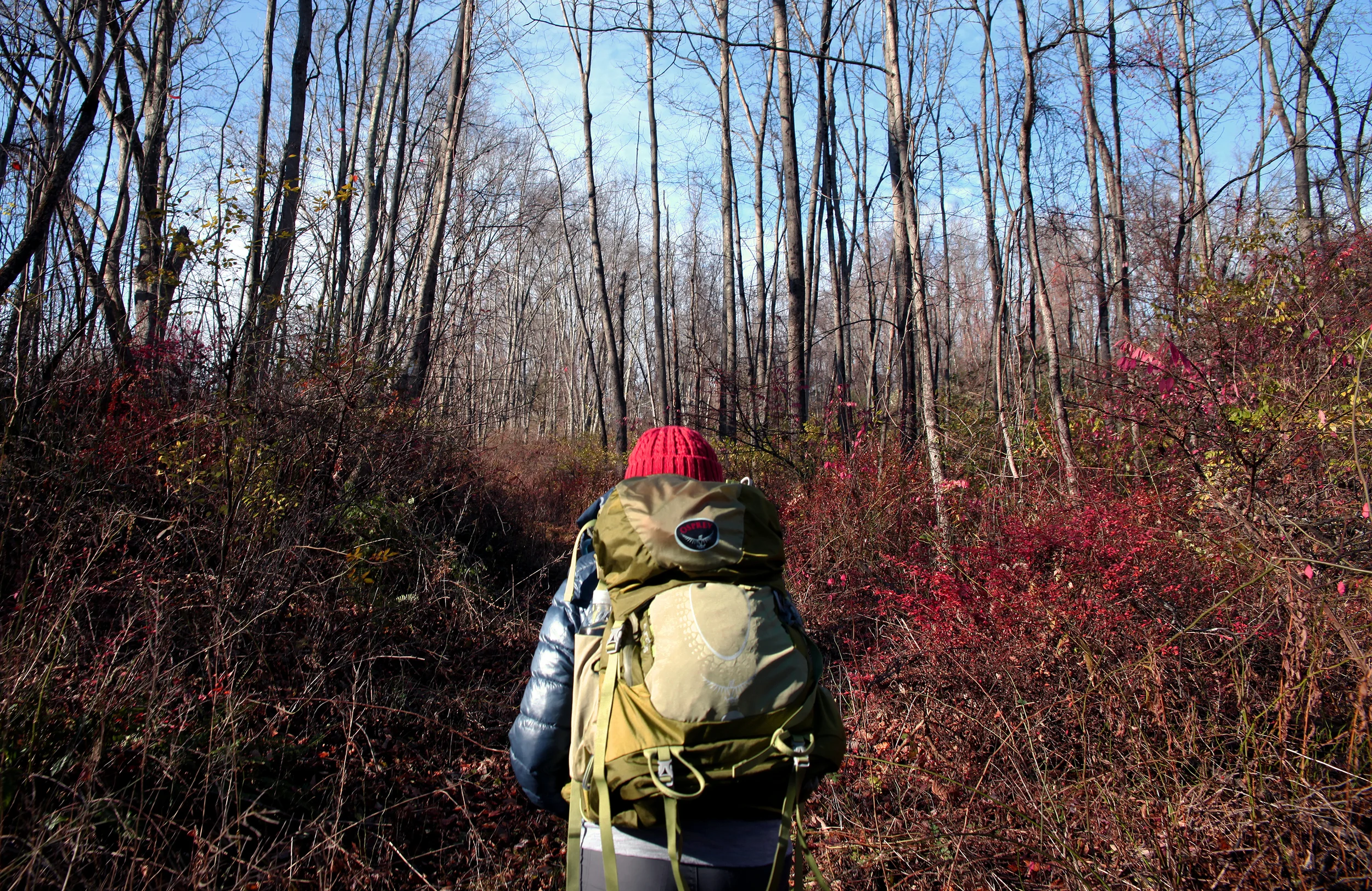 Day Hiking the Appalachian Trail