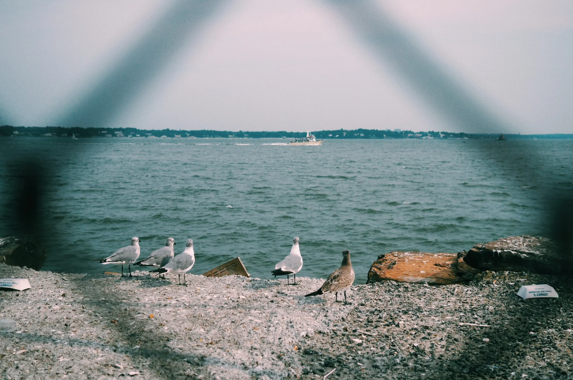 Local Adventure #1: City Island