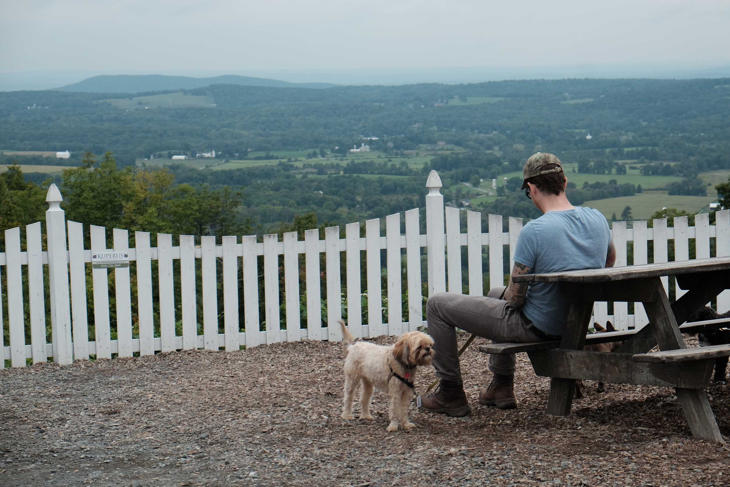 Hudson Valley • 55mm • f/6.4 • 1/350 • ISO 250