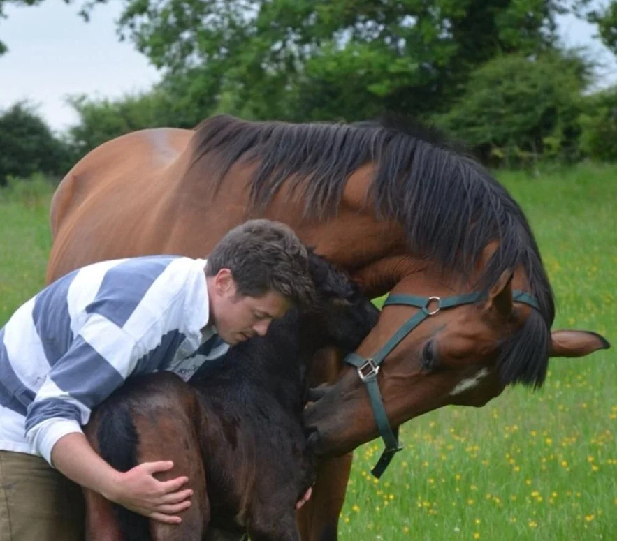 Newborn+Agana+Filly.jpg