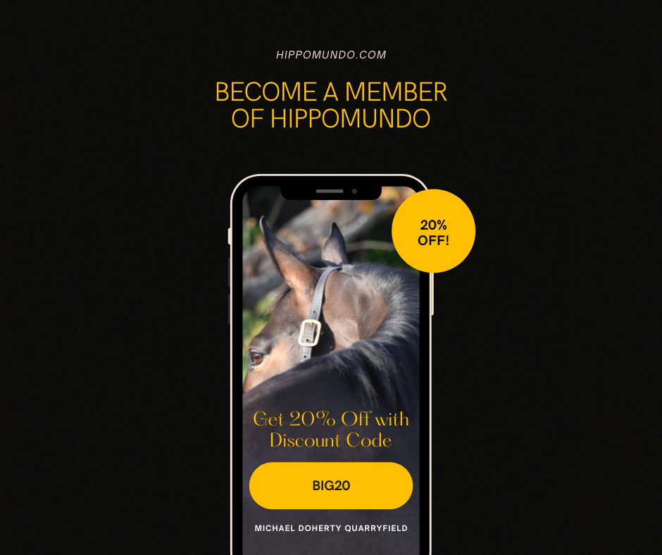 New Hippomundo Discount Code