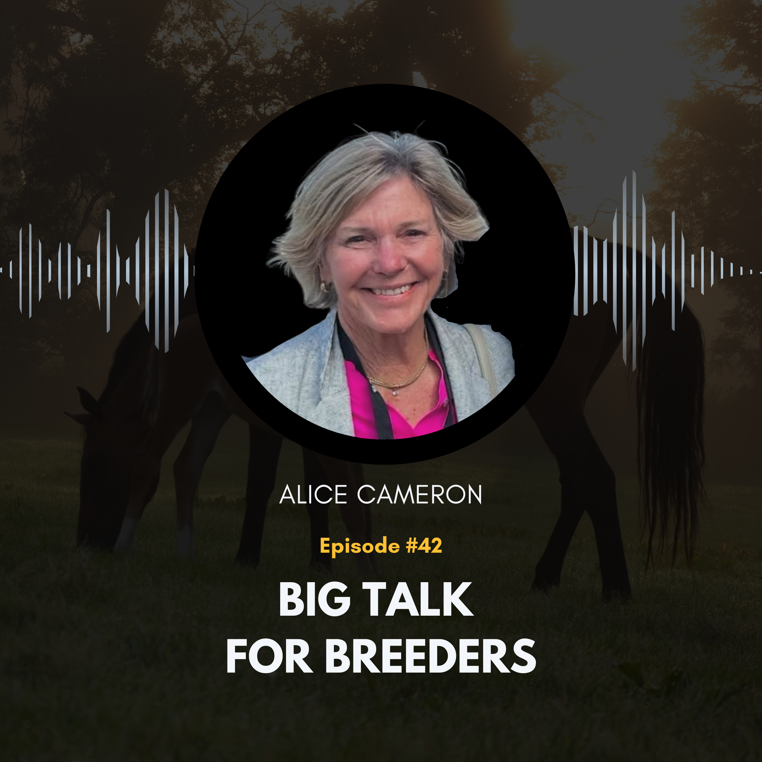 EPISODE 42 - ALICE CAMERON