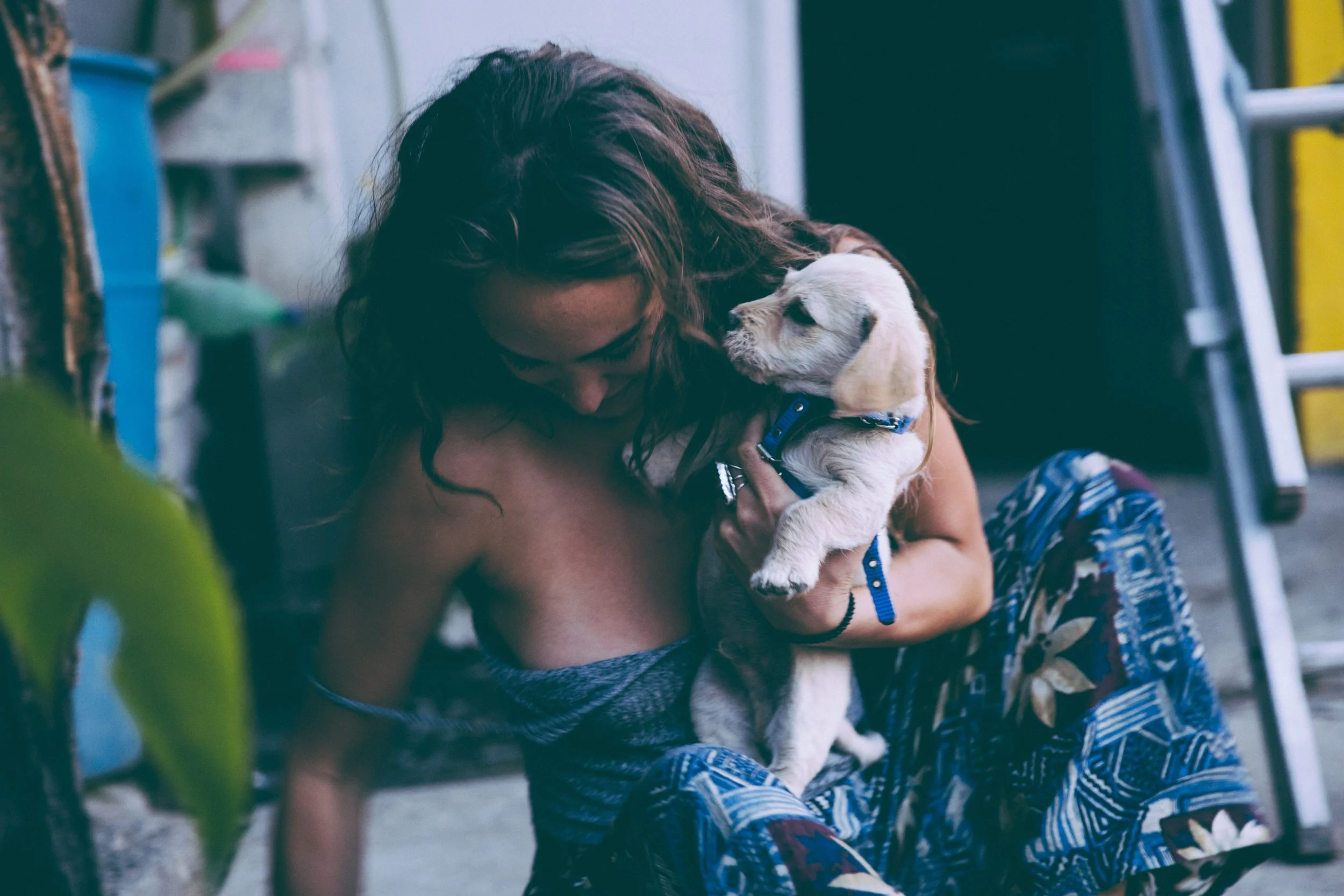 pup.jpeg