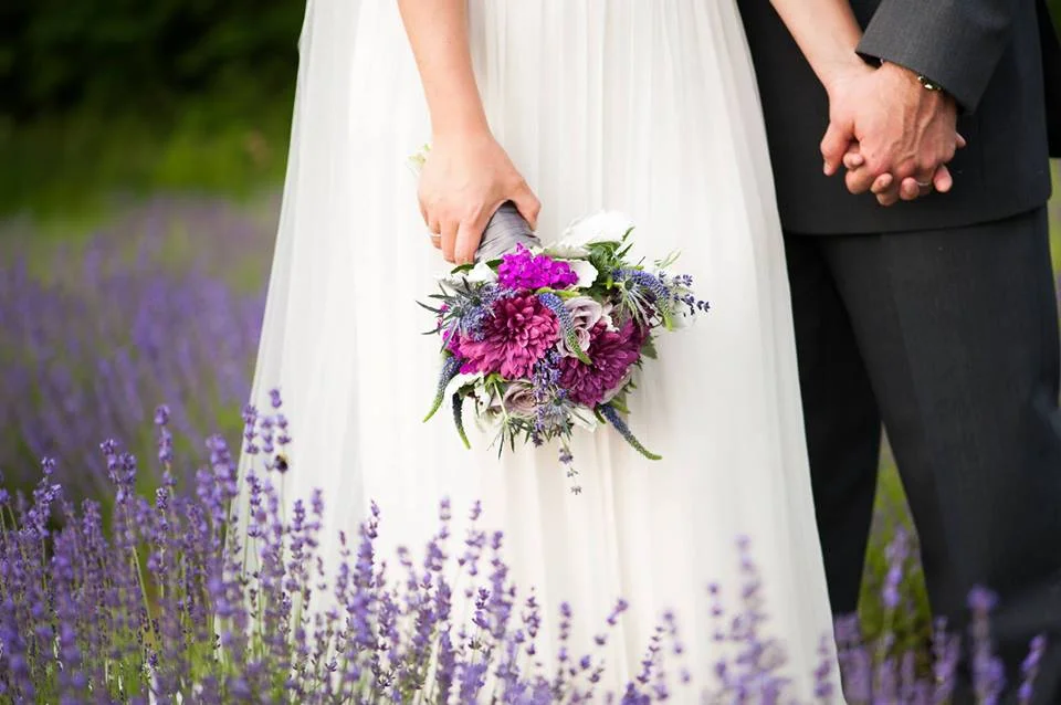 Lavender Far 24.jpg
