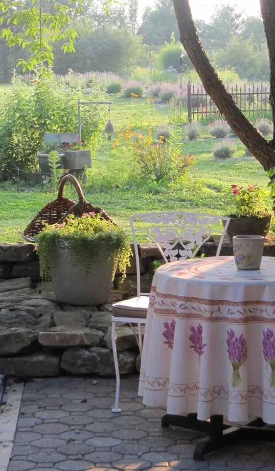 Lavender Far 42.jpg