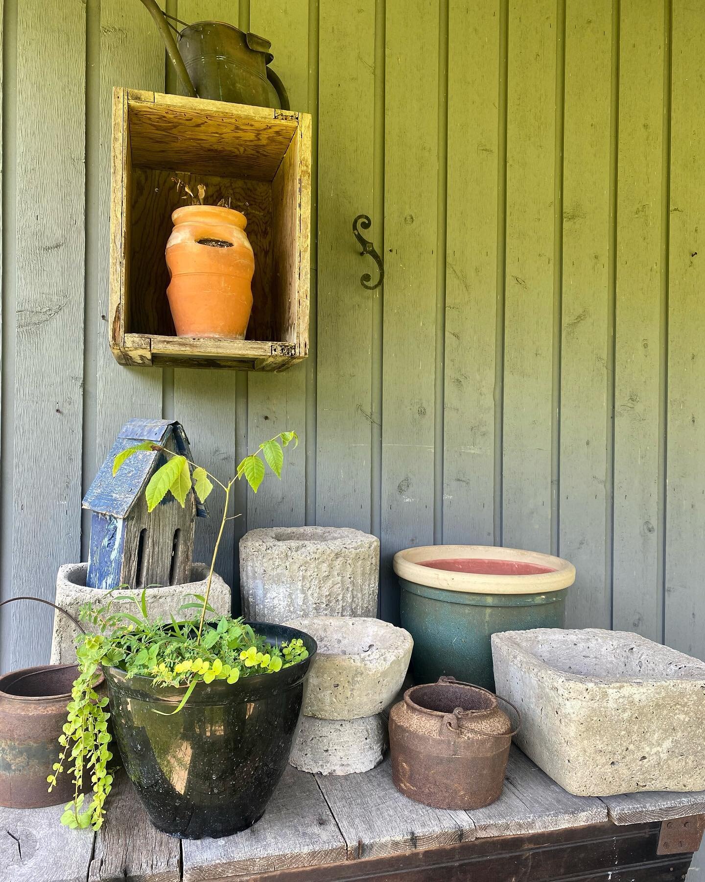 A rustic scene 🪴
.
.
This is right outside our greenhouse. Did you know we propagate our own plants each year? 🌱