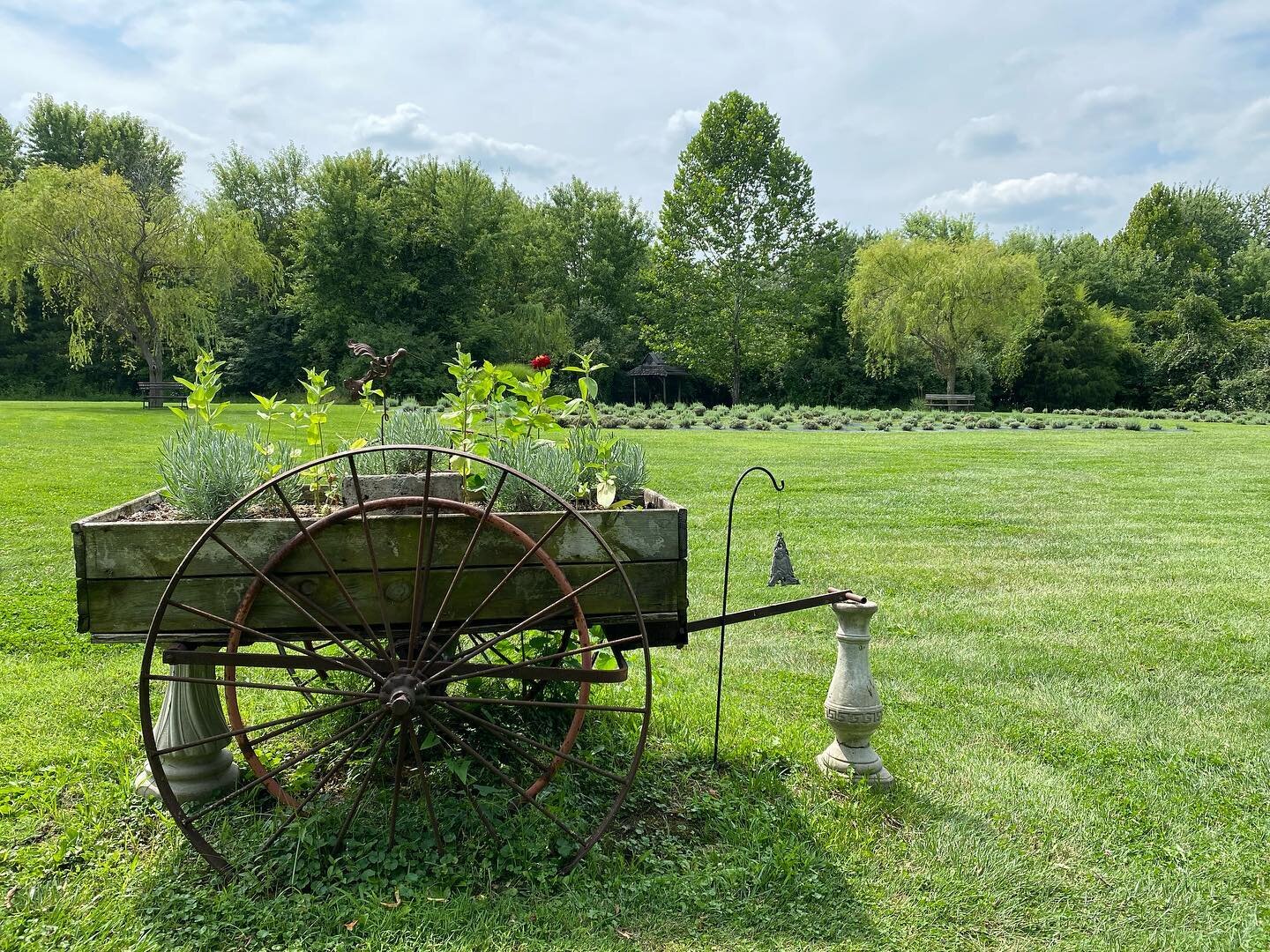 Happy Labor Day weekend! Visit us and get in some relaxation time. 💜
.
.
#willowfieldlavenderfarm #lavender #visitindy #visitmorgancounty #lavenderfarm #vintage