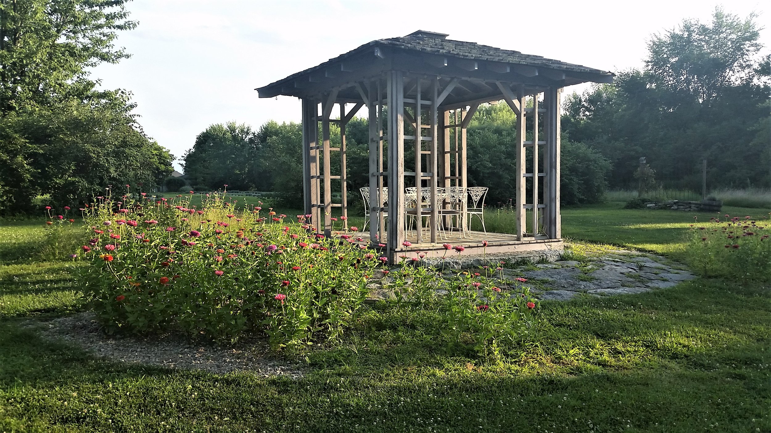 Gazebo 2019.jpg