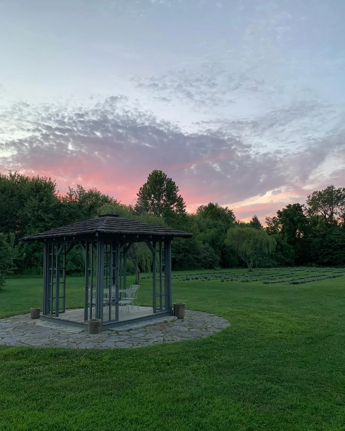 Nothing beats freshly cut grass and a cotton candy sunset 💜 We&rsquo;re open today 11am - 4pm! Hope to see you there!
