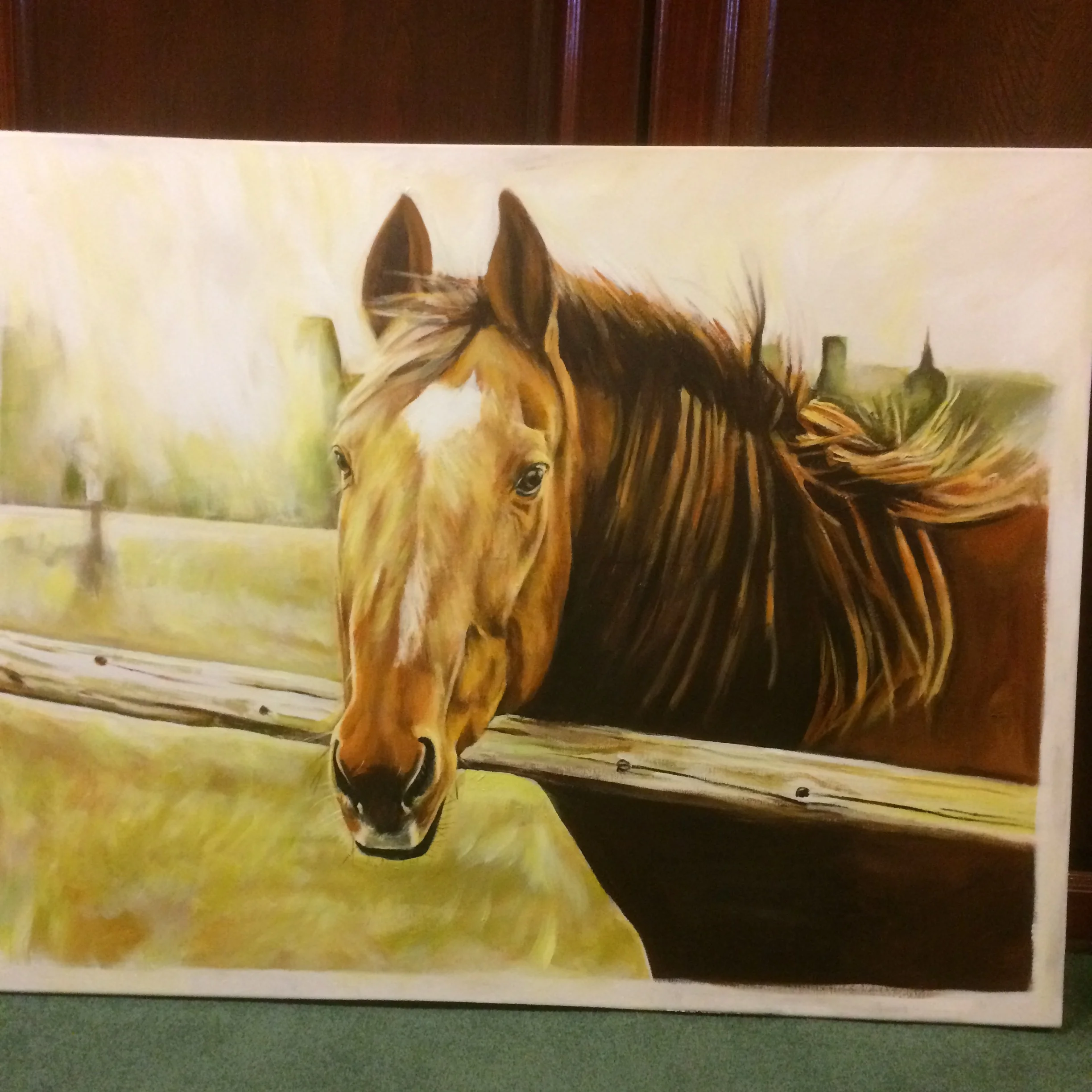 Horse in the Field with a Golden Dawn