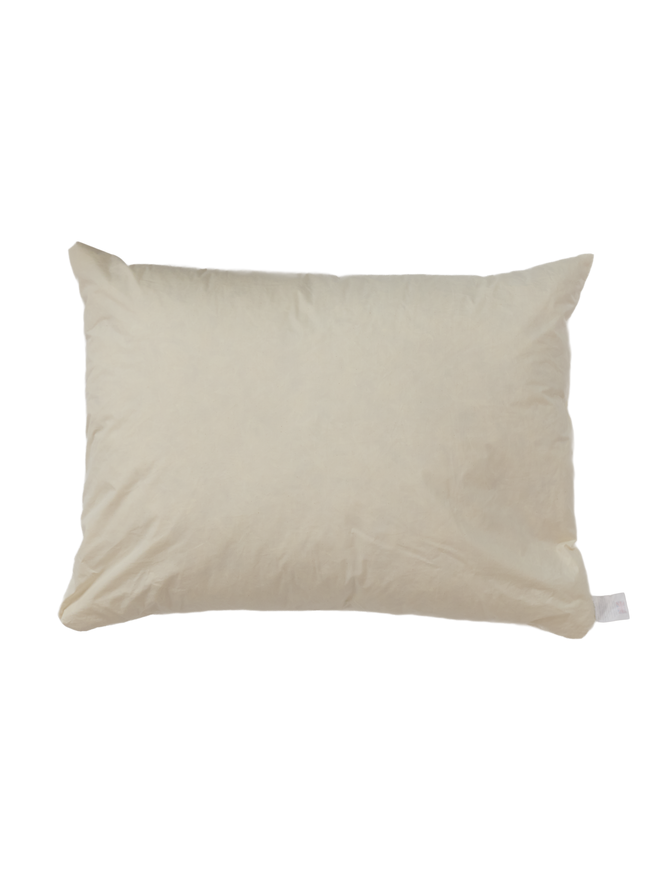 Ren KANTHA 20211 copy.png