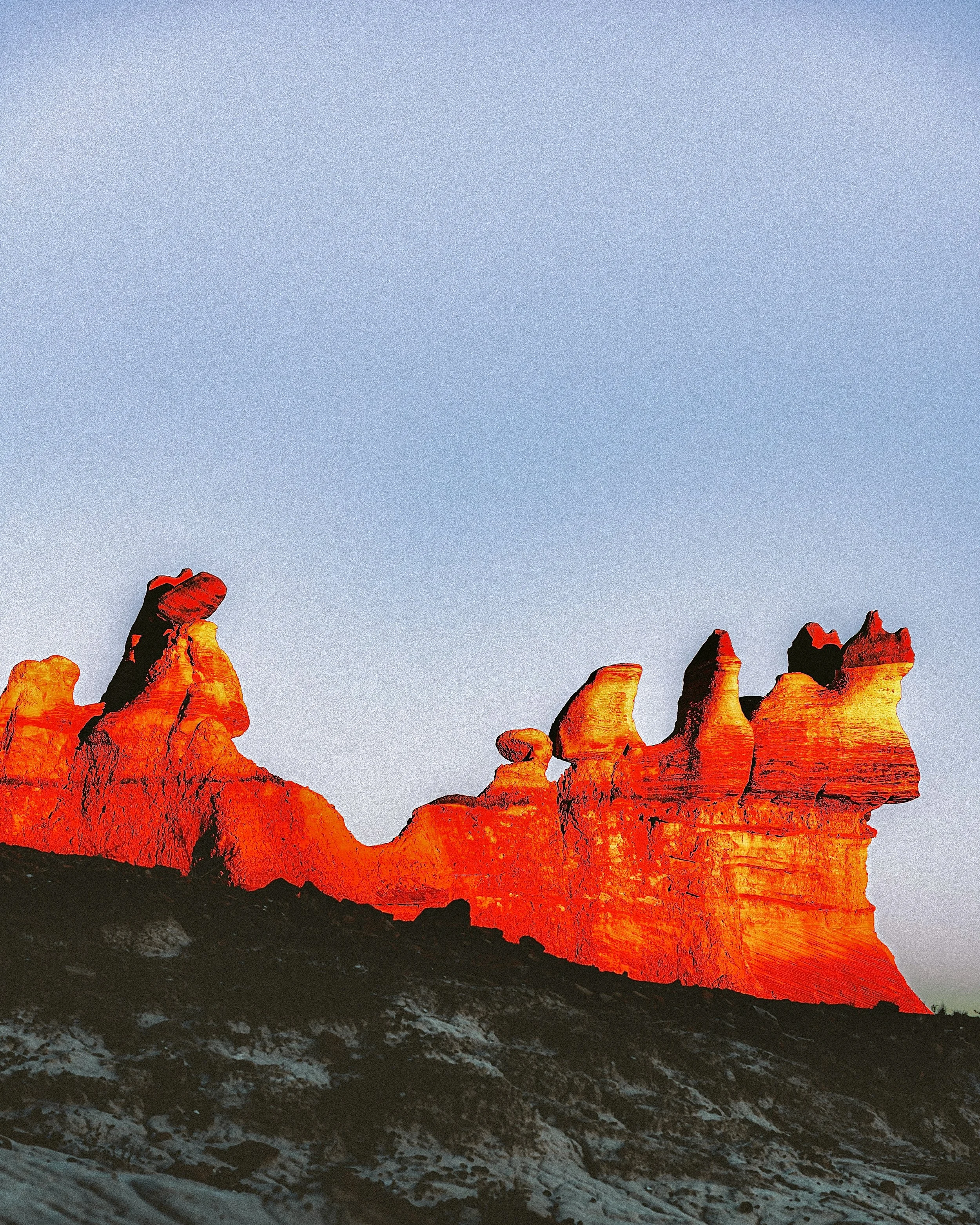 20260304_042457650_iOS 1.jpg