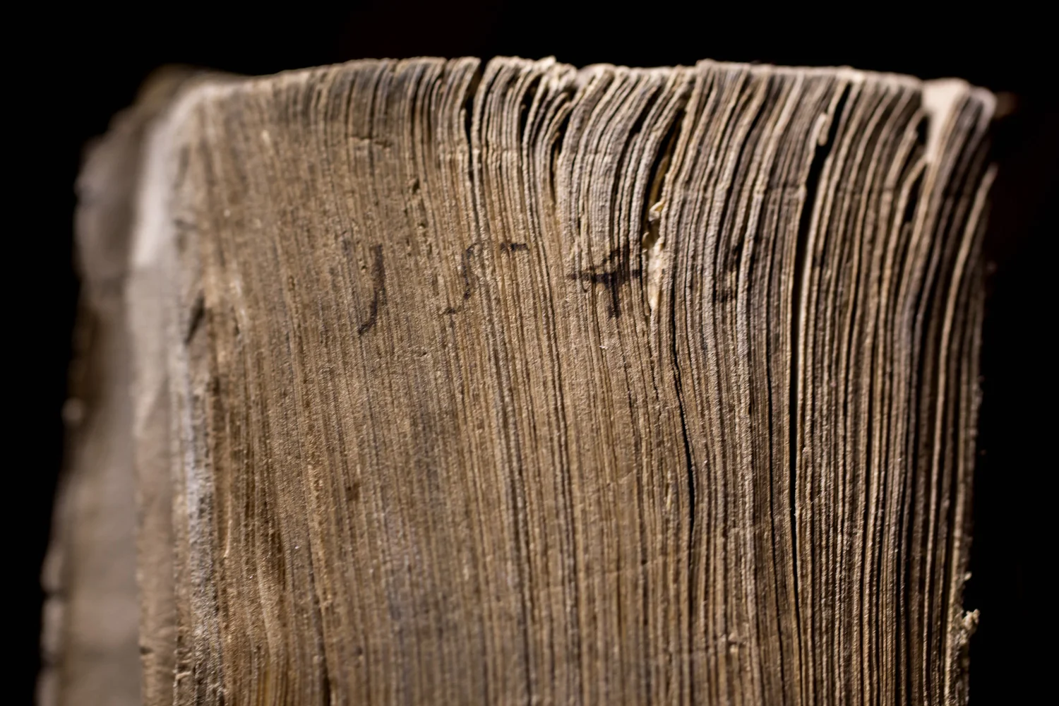 Détails Bibliothèque Humaniste - Sélestat