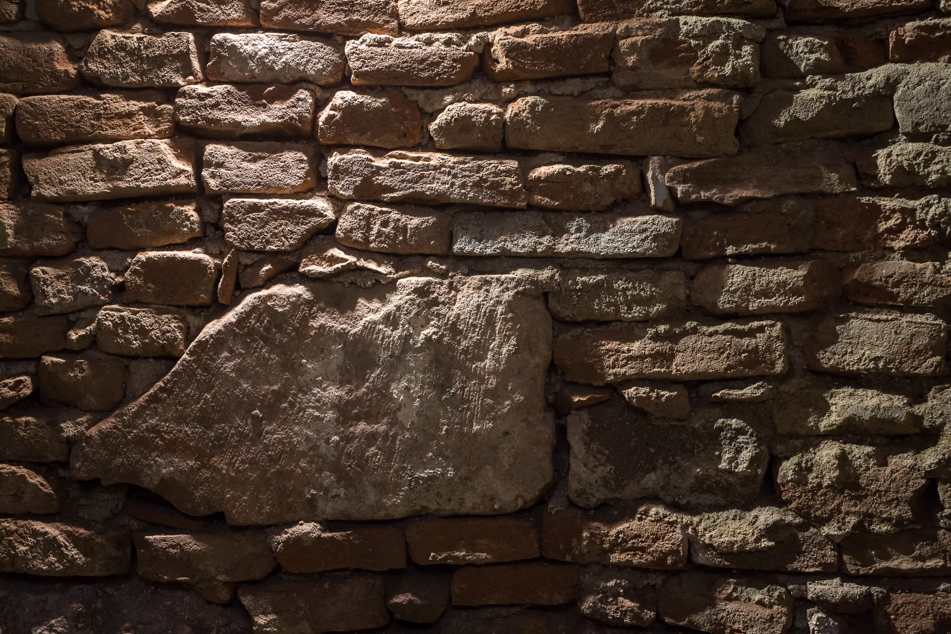 Fouilles archélogiques - 9 février 2015 - Bibliothèque Humani