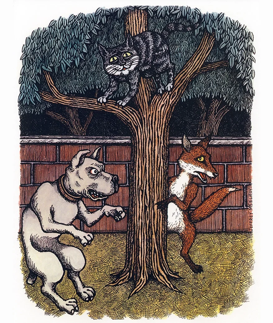 The Fox and the Cat
