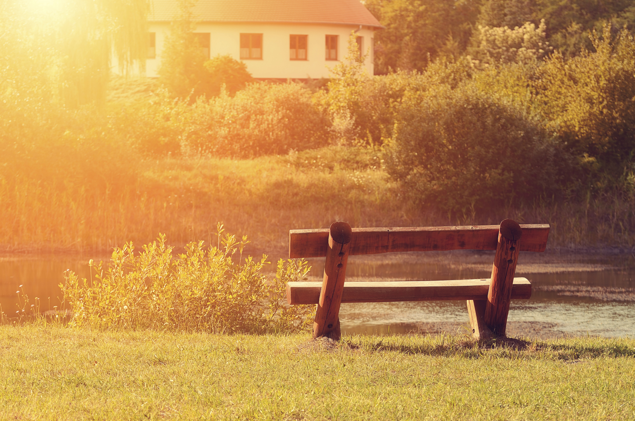 Widowed & Divorced Singles